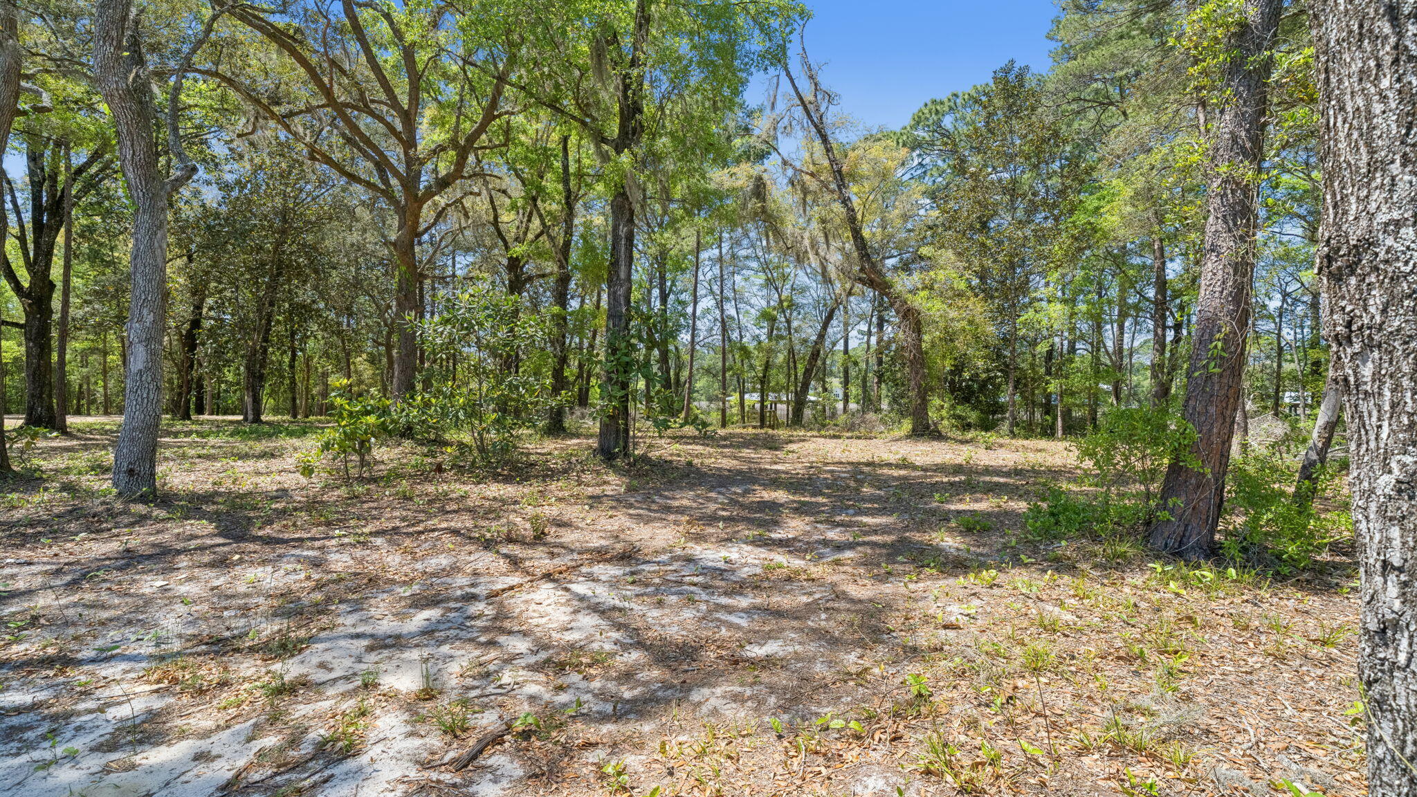 Holley Grove at Peach Grove - Residential