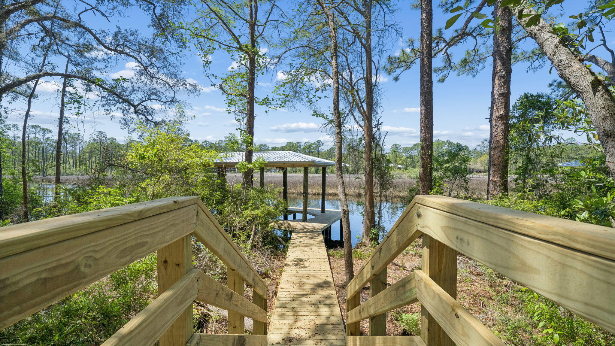 Holley Grove at Peach Grove - Residential