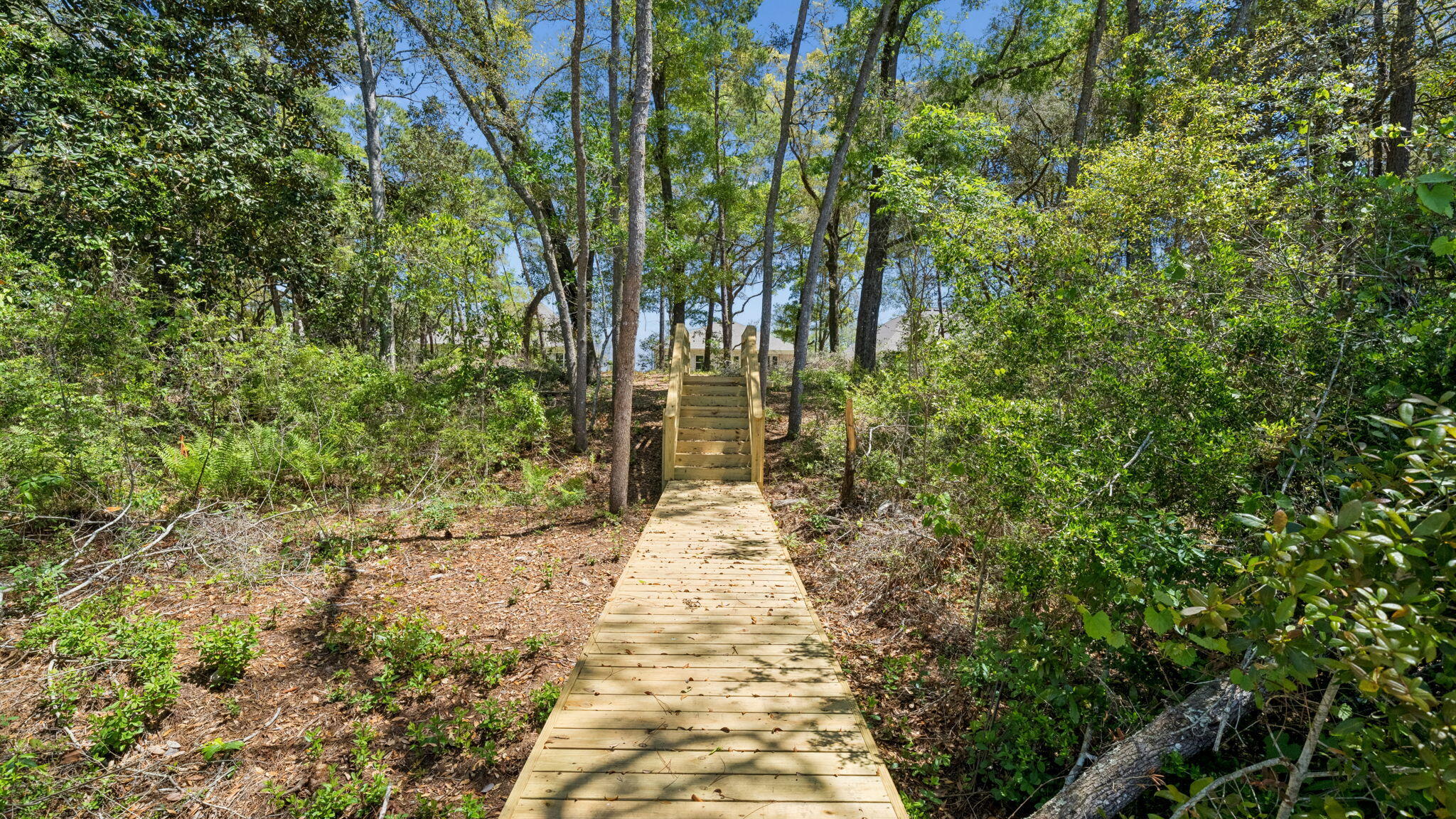 Holley Grove at Peach Grove - Residential