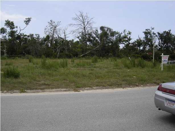 SOUND HAMMOCK - Land