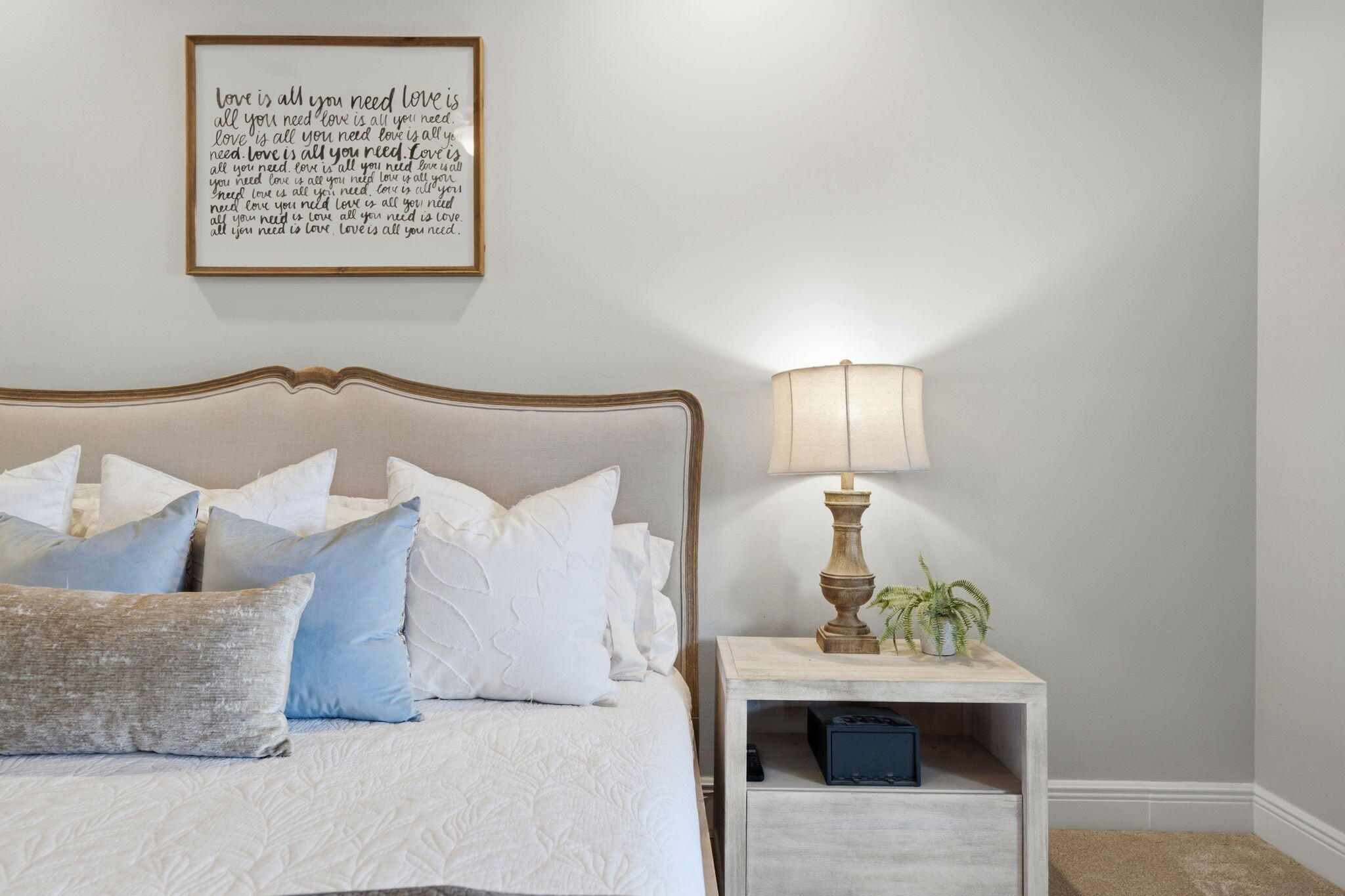 PALMETTO LAKE PRESERVE - Residential