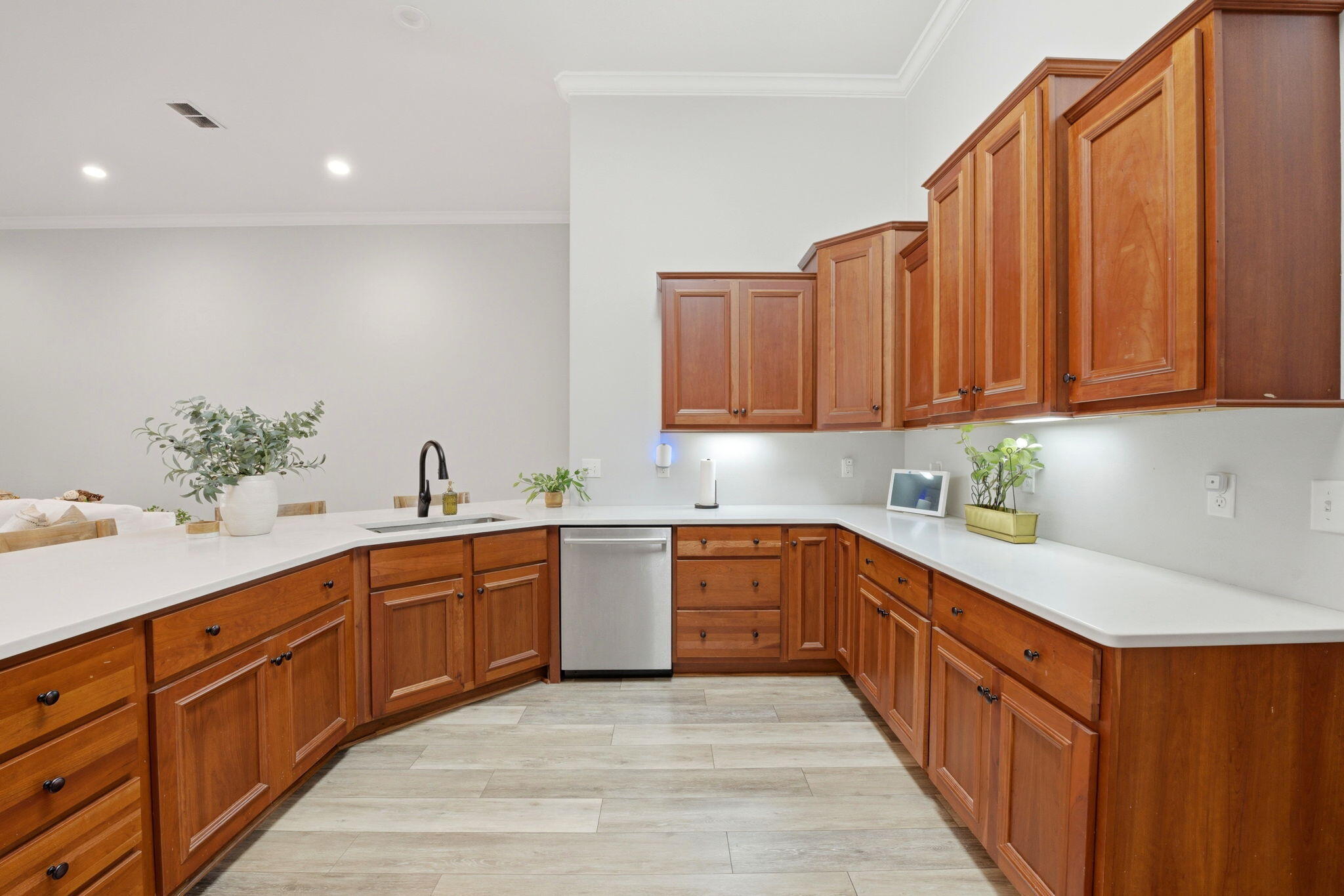 PALMETTO LAKE PRESERVE - Residential