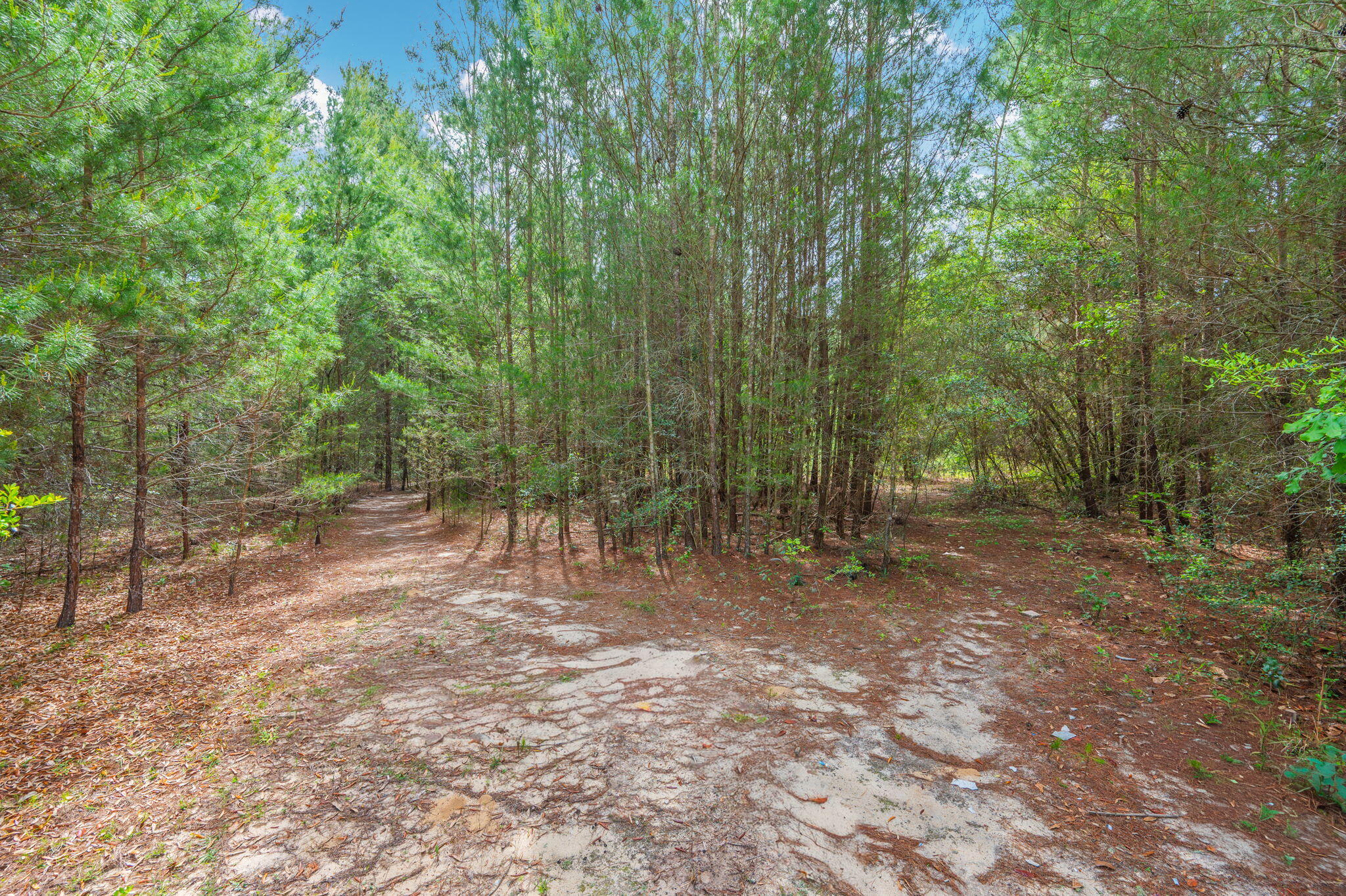 NO RECORDED SUBDIVISION - Residential