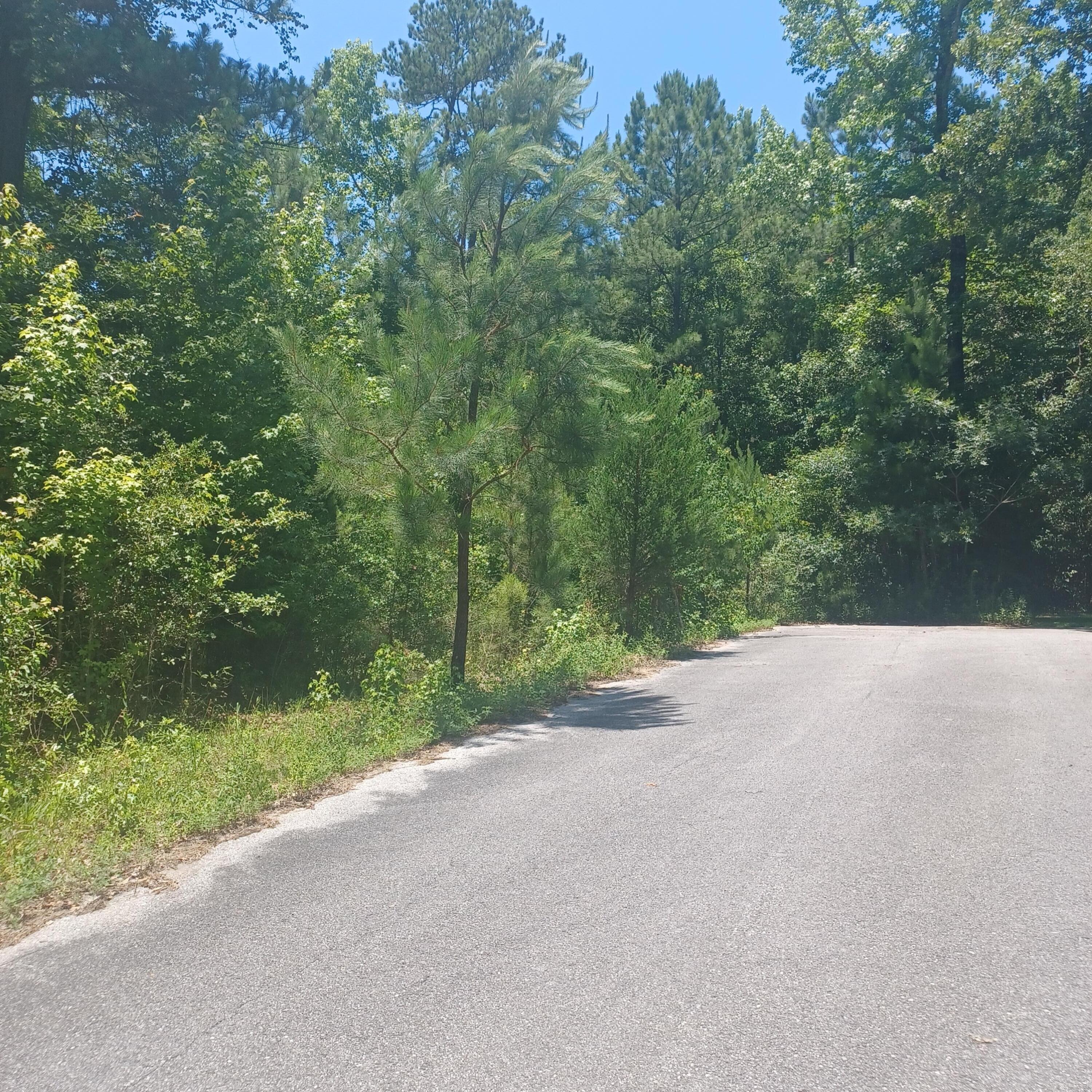 Pleasant Ridge Estates - Land