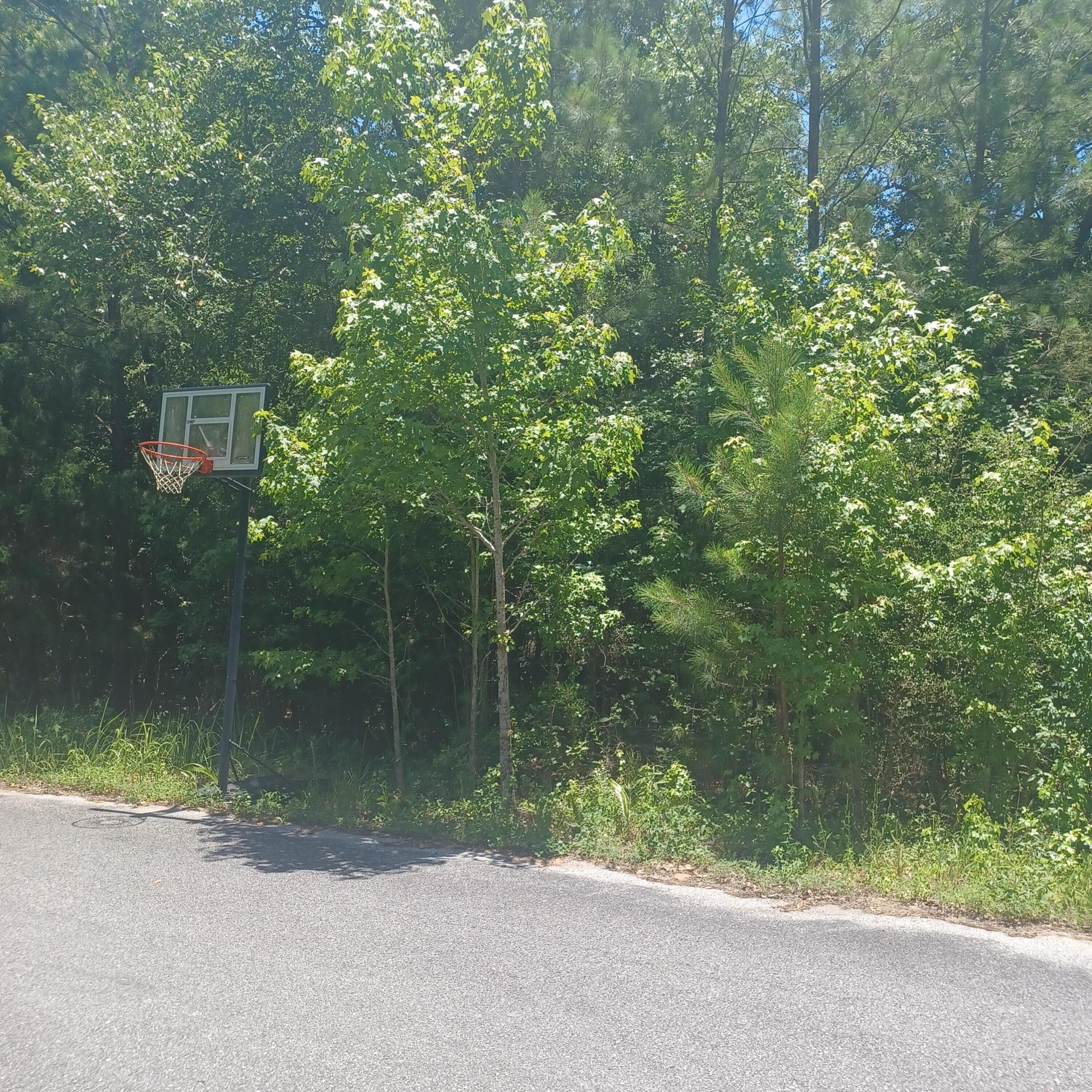 Pleasant Ridge Estates - Land