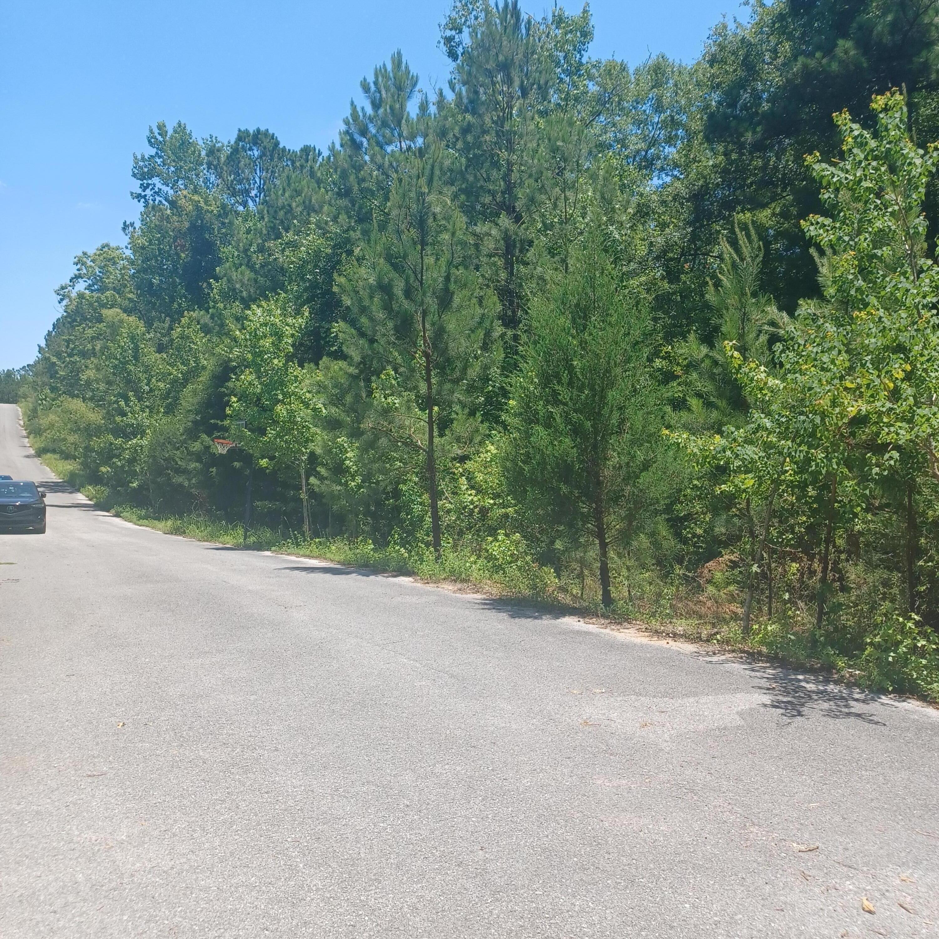 Pleasant Ridge Estates - Land