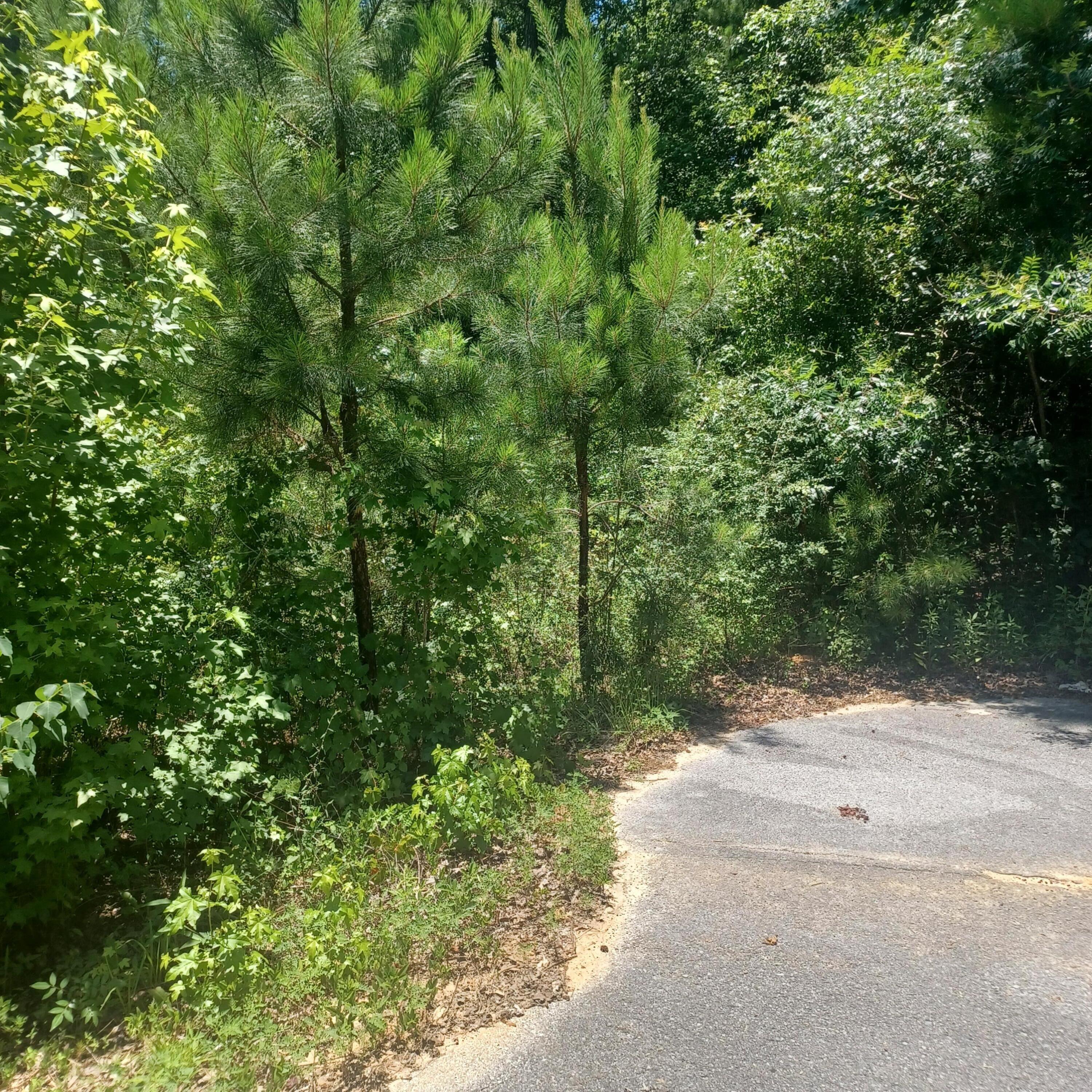 Pleasant Ridge Estates - Land