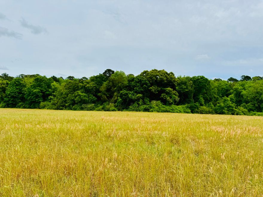 Discover 19 undeveloped acres along Highway 55, nestled between Andalusia and Florala in Covington County, Alabama. With approximately 500 feet of road frontage, this tract offers excellent visibility and easy access, making it ideal for a homestead, hobby farm, or future development. About 12 acres slope gently into rolling pasture, perfect for grazing, fencing, or equestrian use, while the remaining acreage rises into timbered woodland that provides privacy and outdoor recreational opportunities. The property's open-to-wooded mix, plus convenient highway access, creates a versatile foundation for your rural dream--whether you're seeking a private retreat, agricultural potential, or a smart land investment. Zoning and utilities vary, so check with the county and utility providers to explore all possibilities.