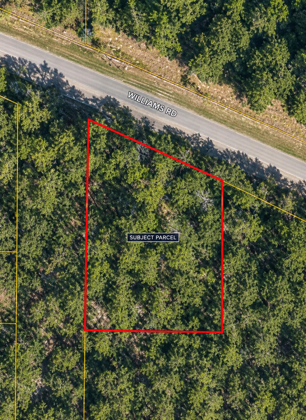 Lots 1-4 N Williams Road