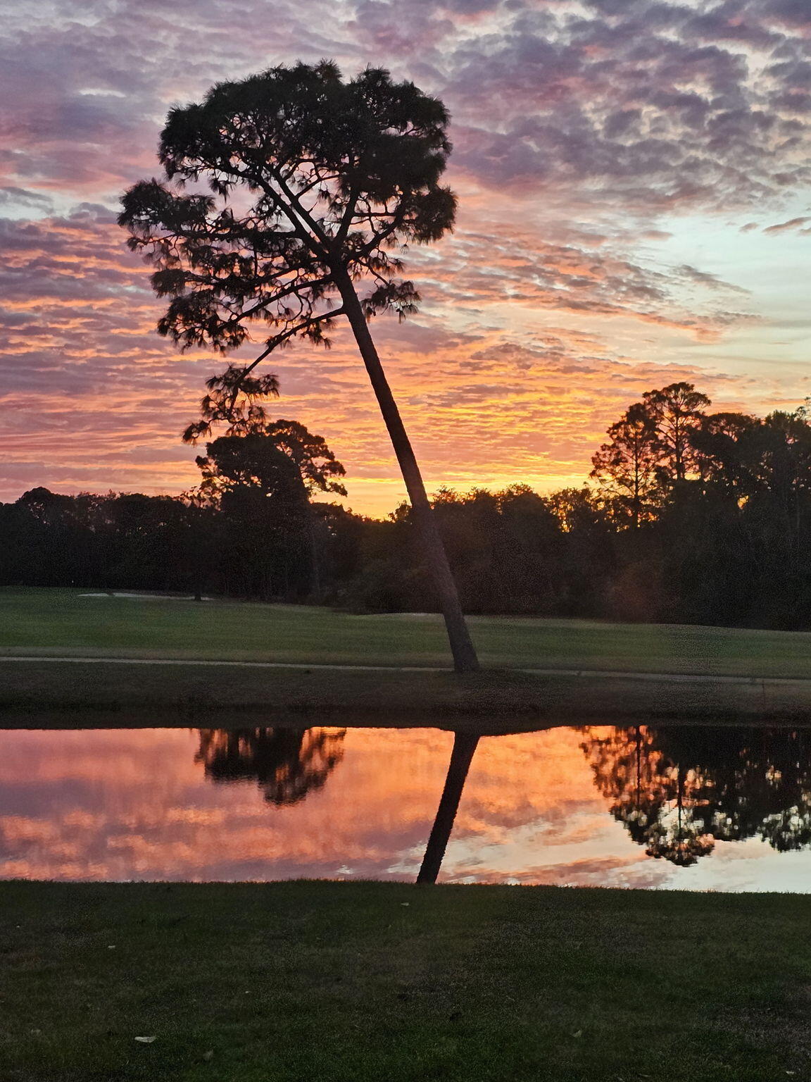 SUNSET BEACH ESTATES AT BLUEWATER BAY - Residential