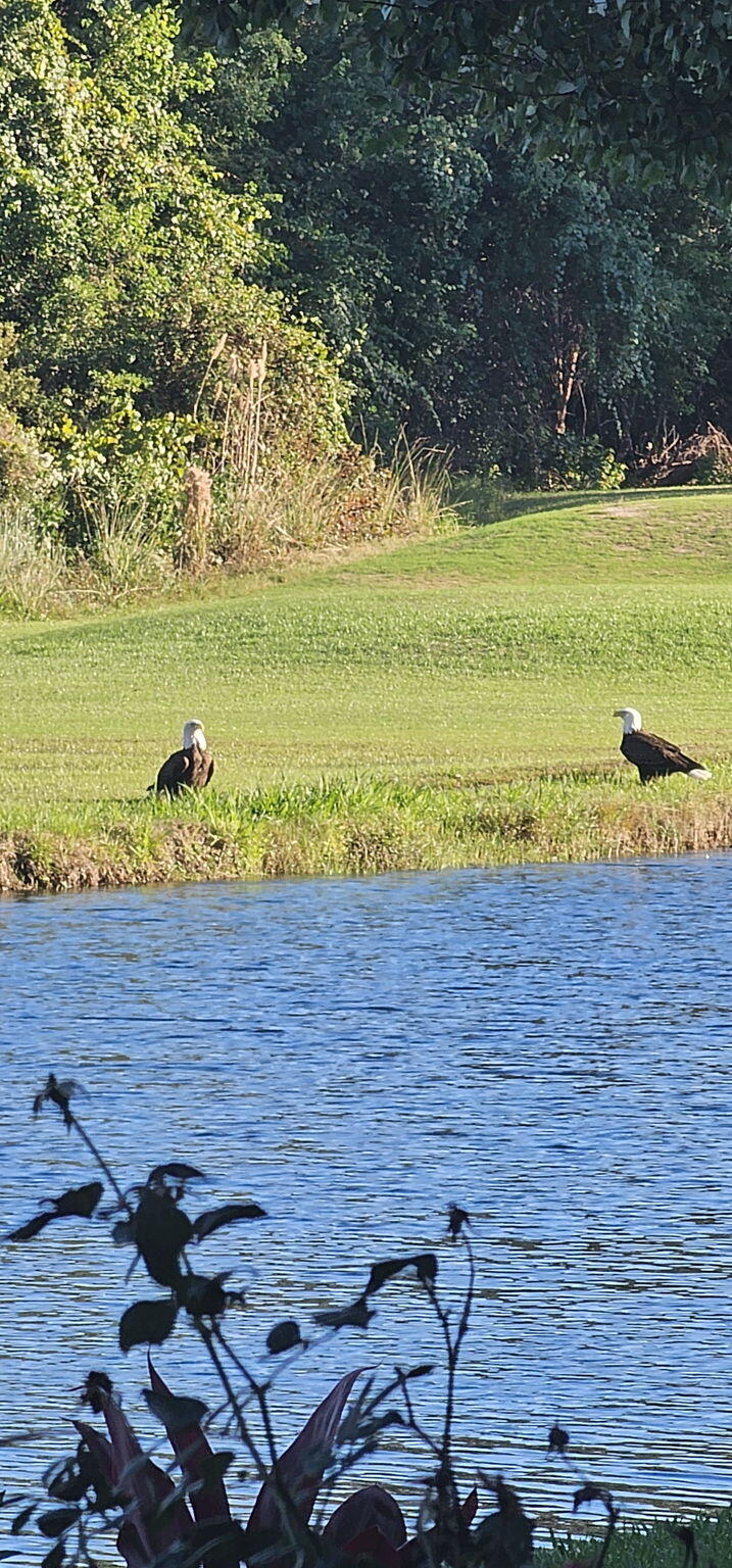 SUNSET BEACH ESTATES AT BLUEWATER BAY - Residential