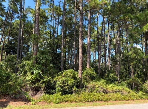 Featured picture for the property 1011623