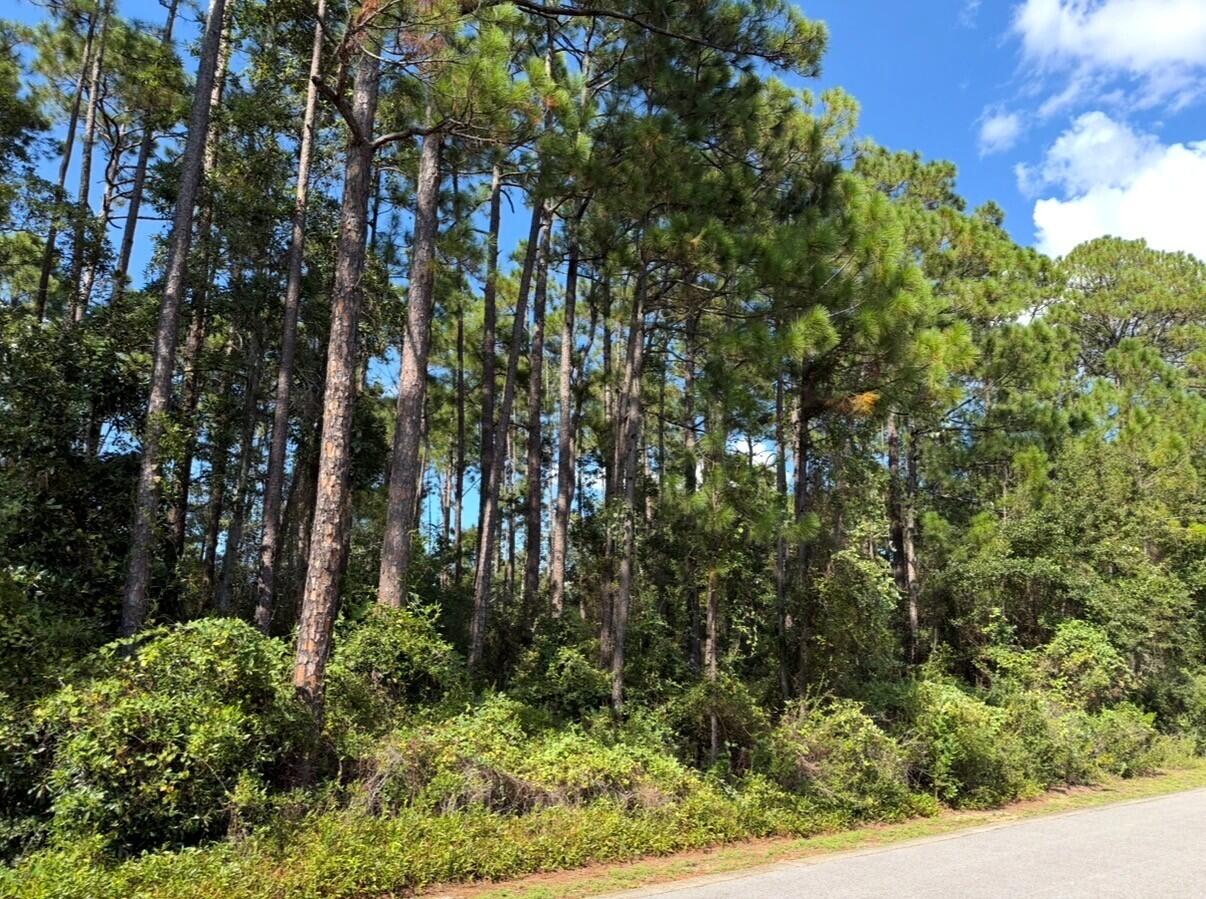 Lot 2 Cox Road