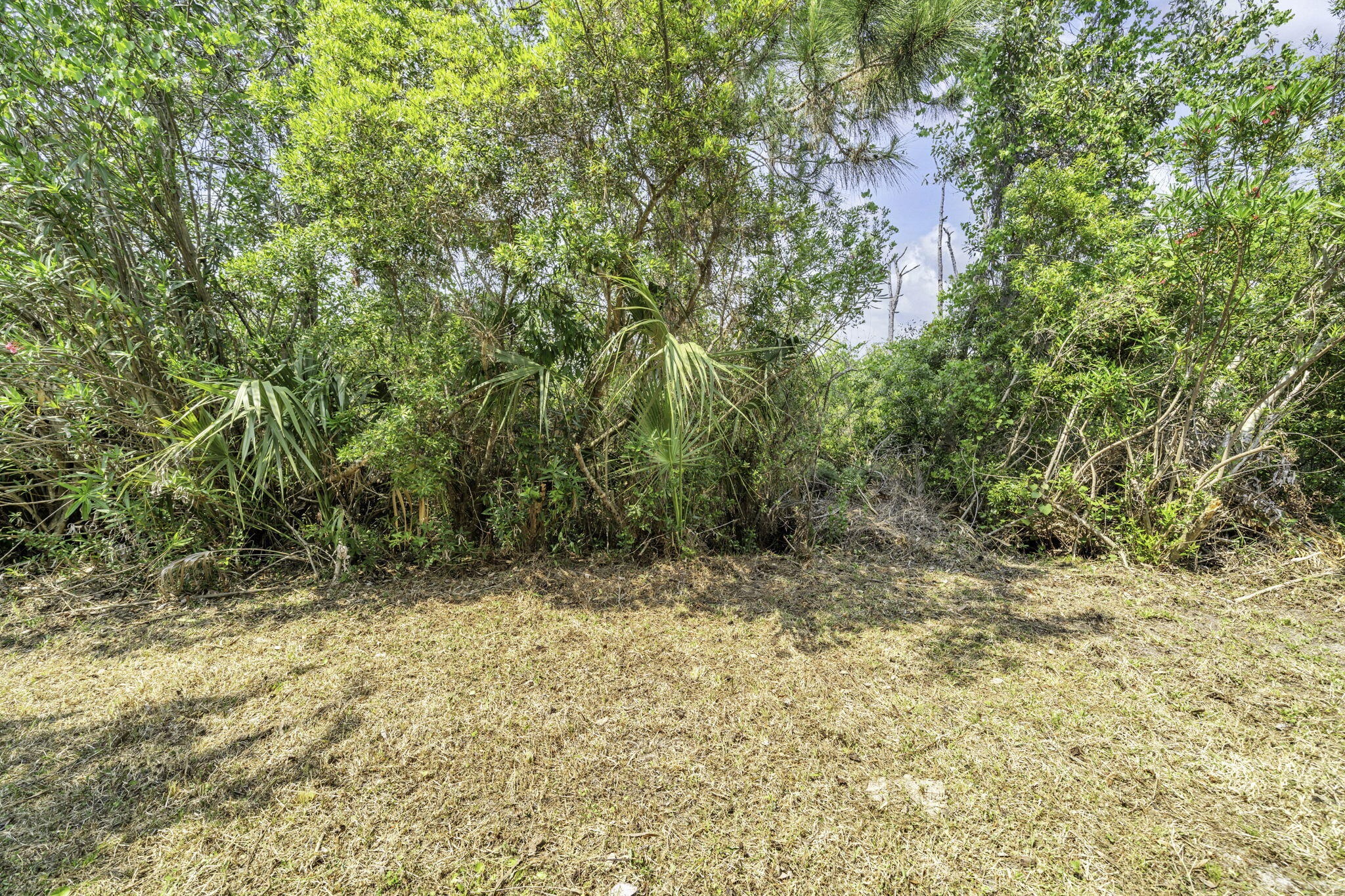 HARRISON'S WALK - Residential