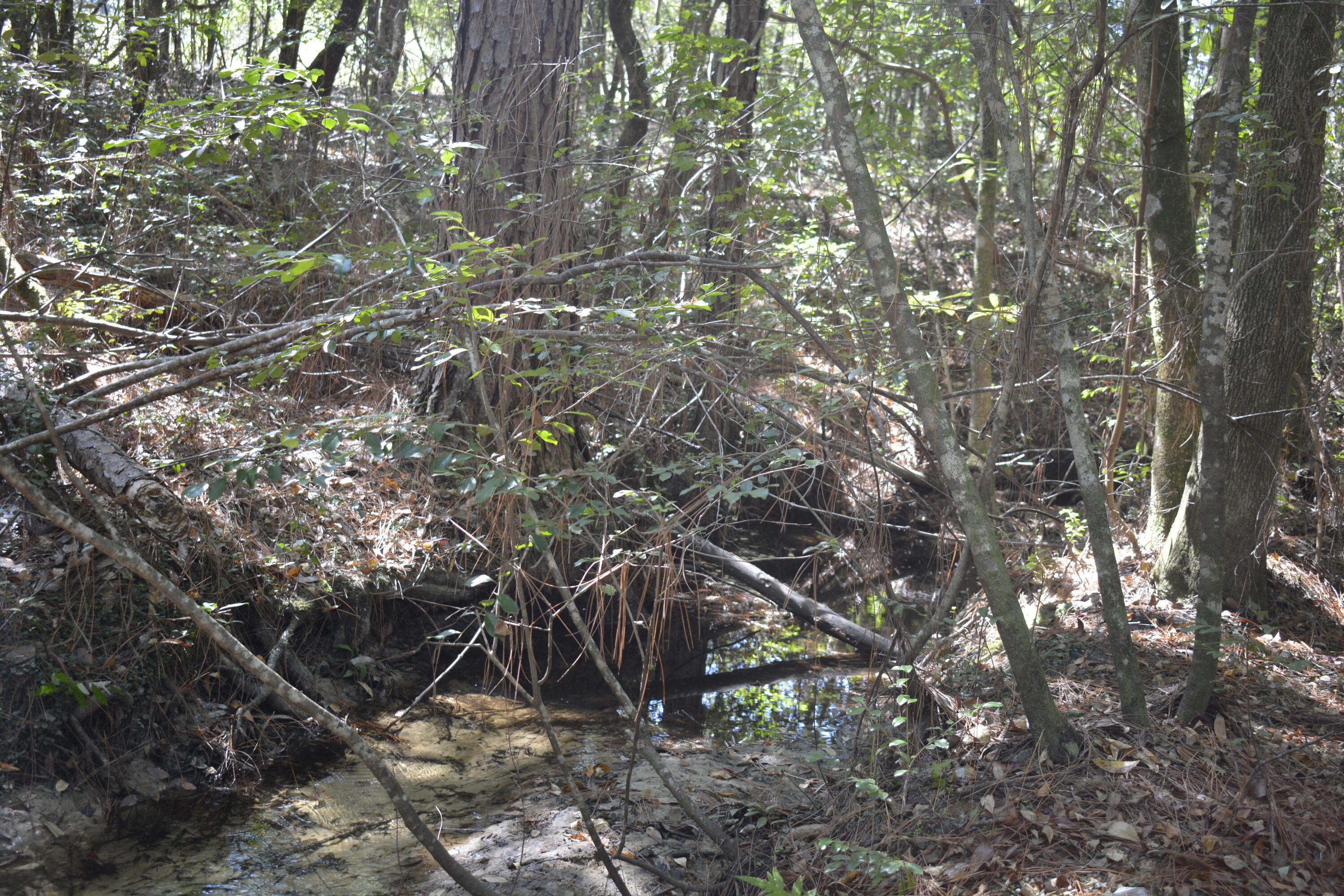 METES & BOUNDS - Land