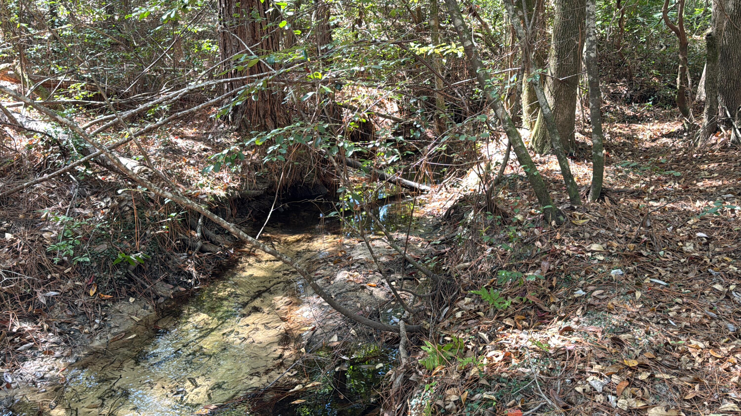 METES & BOUNDS - Land