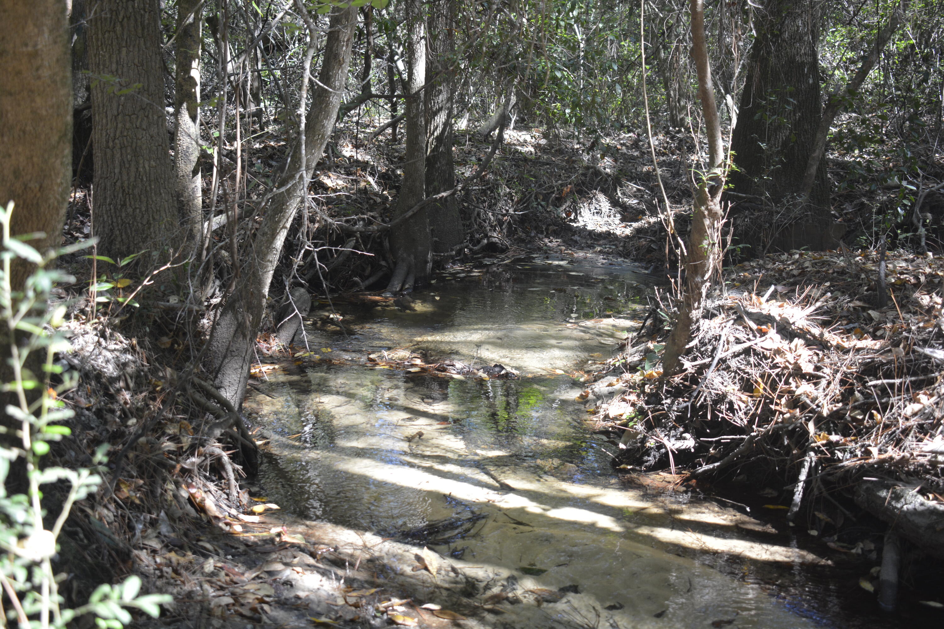 METES & BOUNDS - Land