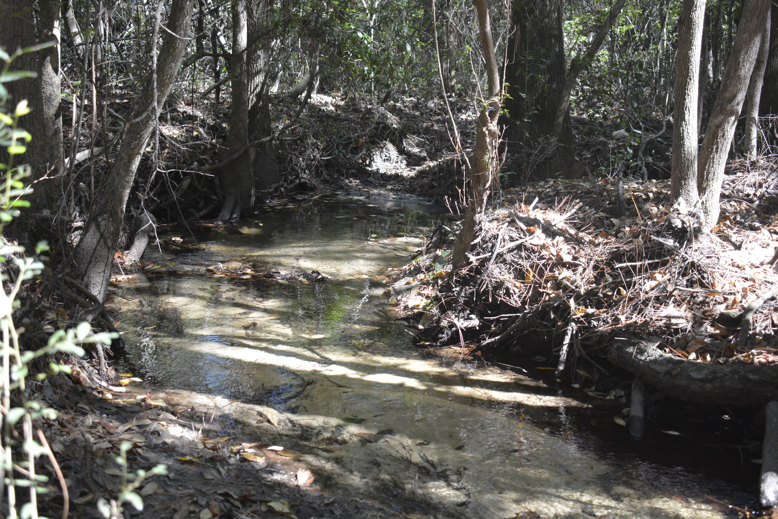 METES & BOUNDS - Land