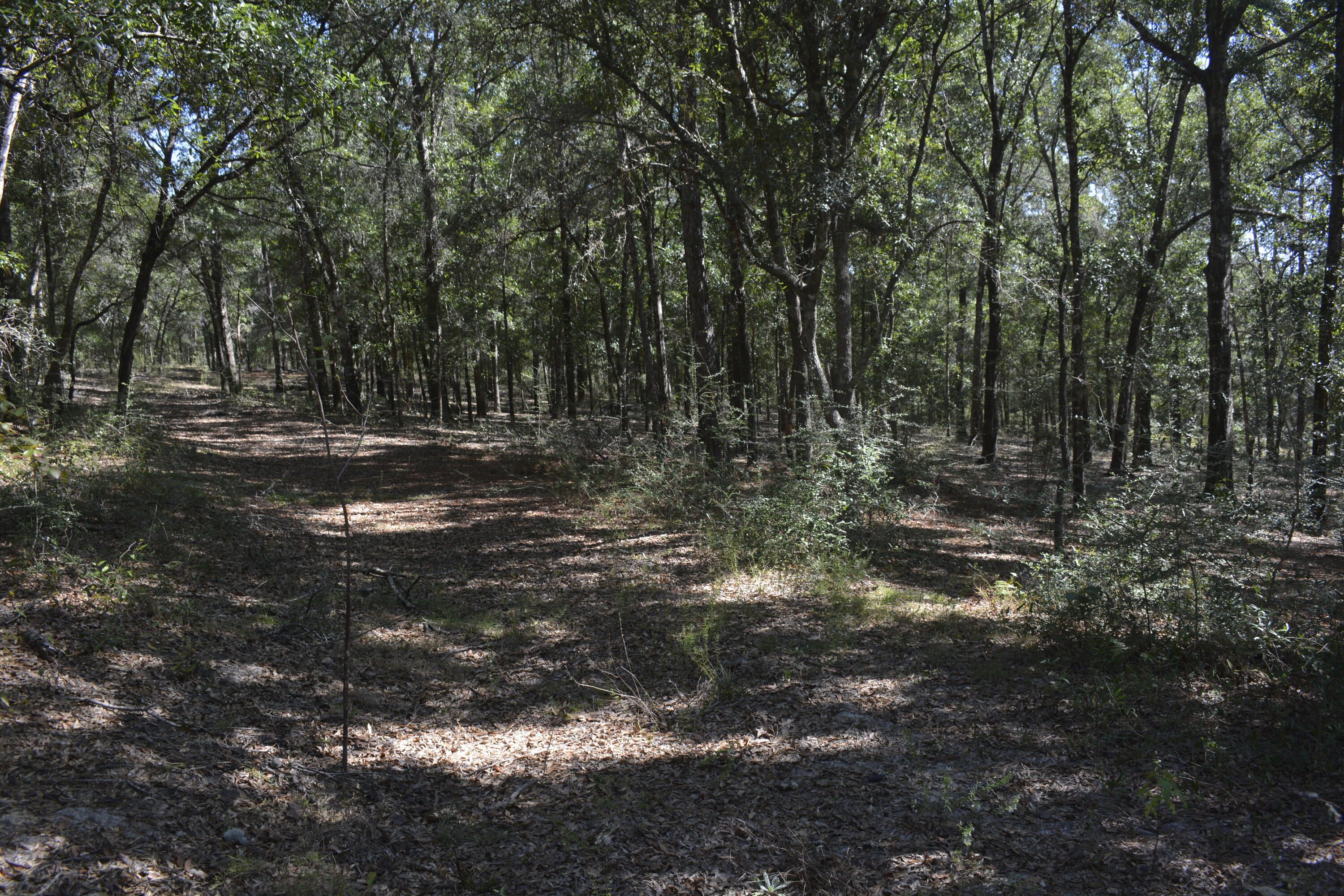 METES & BOUNDS - Land