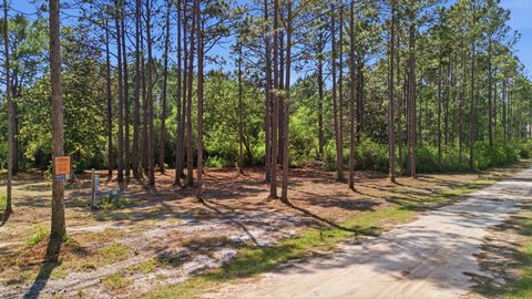 Lot 3 Elise Street Santa Rosa Beach FL 32459