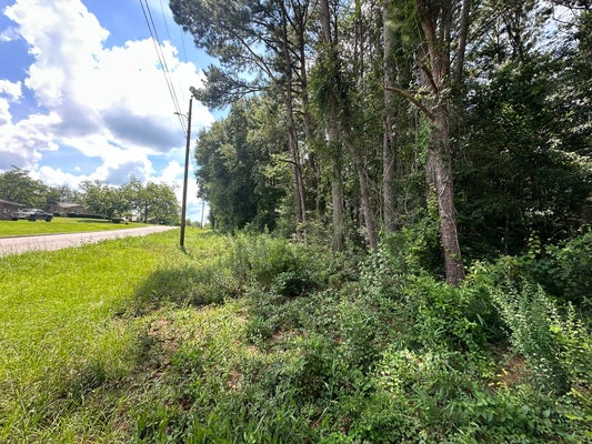 3RD ST, OPP, AL 36467 - Image f5c845a29d6cbbbb83a59cd852dbb211/378953935