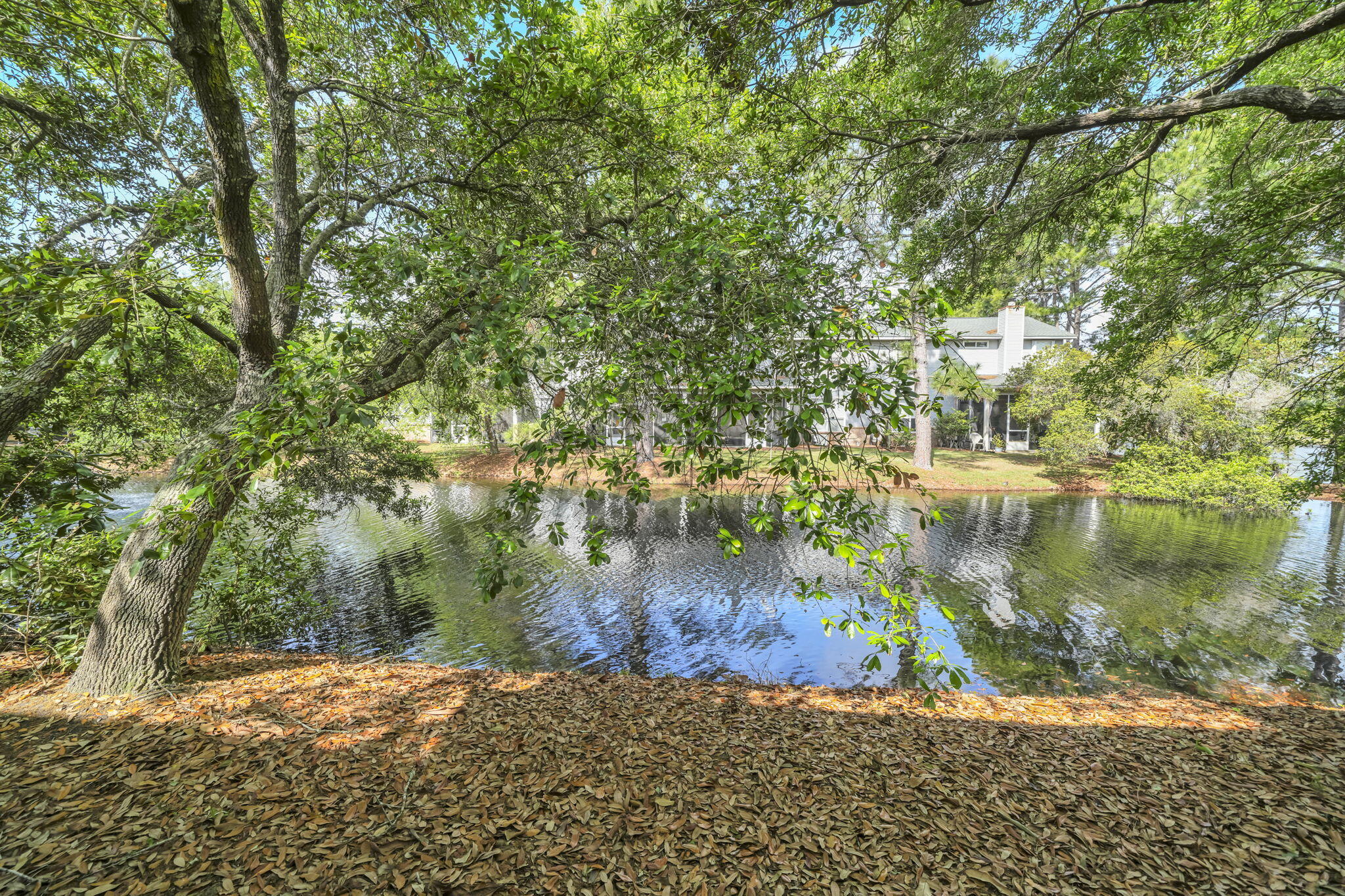 ESCADA - Residential