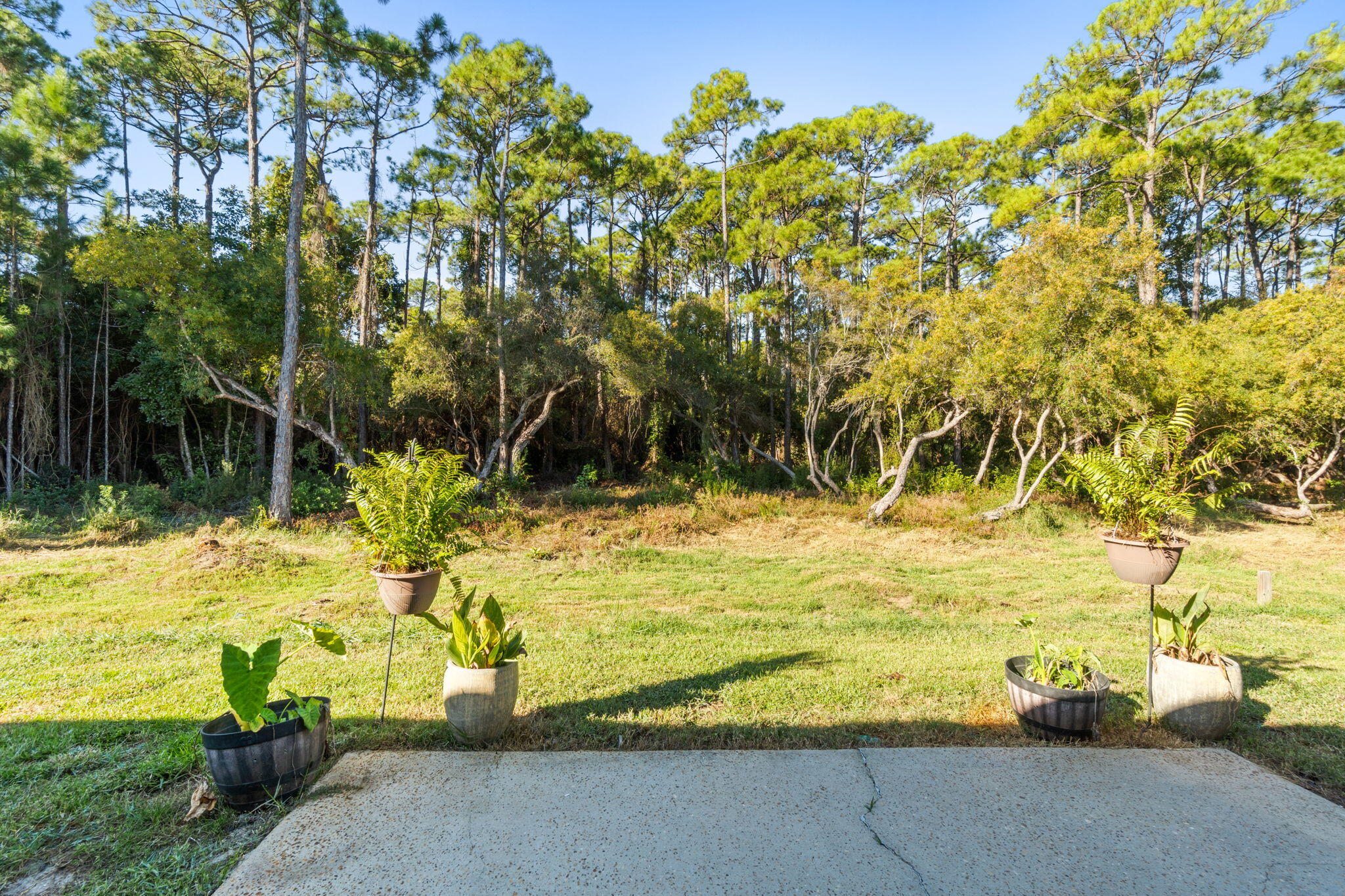 HIDDEN PINES S/D - Residential