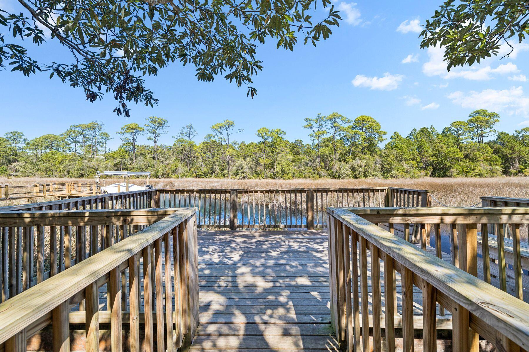 THE PRESERVE AT INLET BEACH - Residential