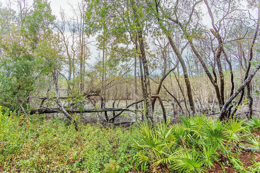 Peach Creek Phase 5 - Residential