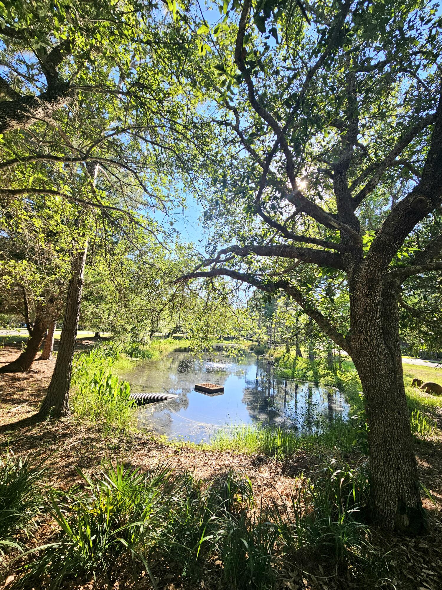 WILD HERON PHASE I - Land