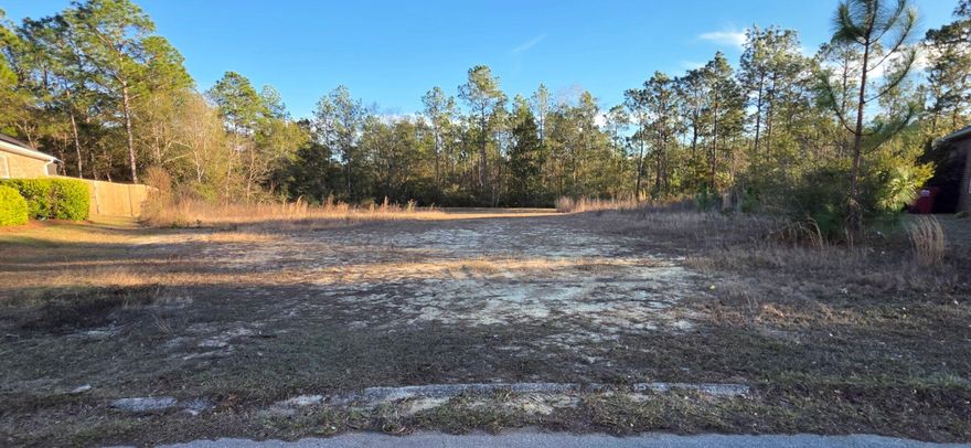 Discover the perfect canvas for your dream home on this desirable 0.25-acre vacant lot in highly sought-after South Crestview. Build-to-suit opportunity with customizable design options! 

Offering a peaceful residential setting with the convenience of nearby city amenities, this property provides the ideal blend of privacy, space, and location.

Situated just minutes from shopping, schools, dining, and major commuter routes, this homesite is a short and easy drive to Eglin AFB, Hurlburt Field, and Duke Field, making it an excellent opportunity for military, retirees, and anyone seeking quick access to the best of the Emerald Coast.

With ample room to design the home you've always envisioned, This buildable lot offers flexibility.

Back on market to no fault of the seller