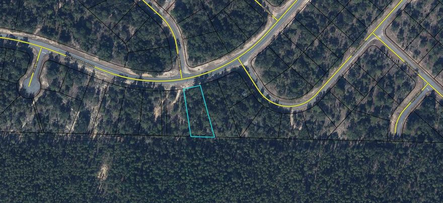 Looking for the perfect homesite in a community that offers golf, lakes, and easy access to the beach? This .394-acre lot in Sunny Hills checks all the boxes! Conveniently located near one of the main entrances off Highway 77, you'll enjoy quick access in and out of the community while still being surrounded by the natural beauty and recreational amenities that make Sunny Hills so desirable.

Just a street away, you'll find one of Sunny Hills' many crystal-clear lakes with white sandy beaches, perfect for swimming, fishing, boating, and relaxing. Residents also enjoy an 18-hole golf course and clubhouse--all with no HOA fees.

When it's time for shopping, dining, entertainment, or a day on the Gulf Coast, you're only about 45 minutes from Panama City Beach, Pier Park, and Northwest Florida Beaches International Airport. Local shopping, medical facilities, and everyday conveniences are approximately 20 miles away.

Whether you're ready to build now or invest for the future, this spacious lot offers the ideal combination of recreation, convenience, and Northwest Florida living. Don't miss your opportunity to own in one of the area's fastest-growing communities! Electric is at the frontage of the lot. Septic and water needed. Newly paved road