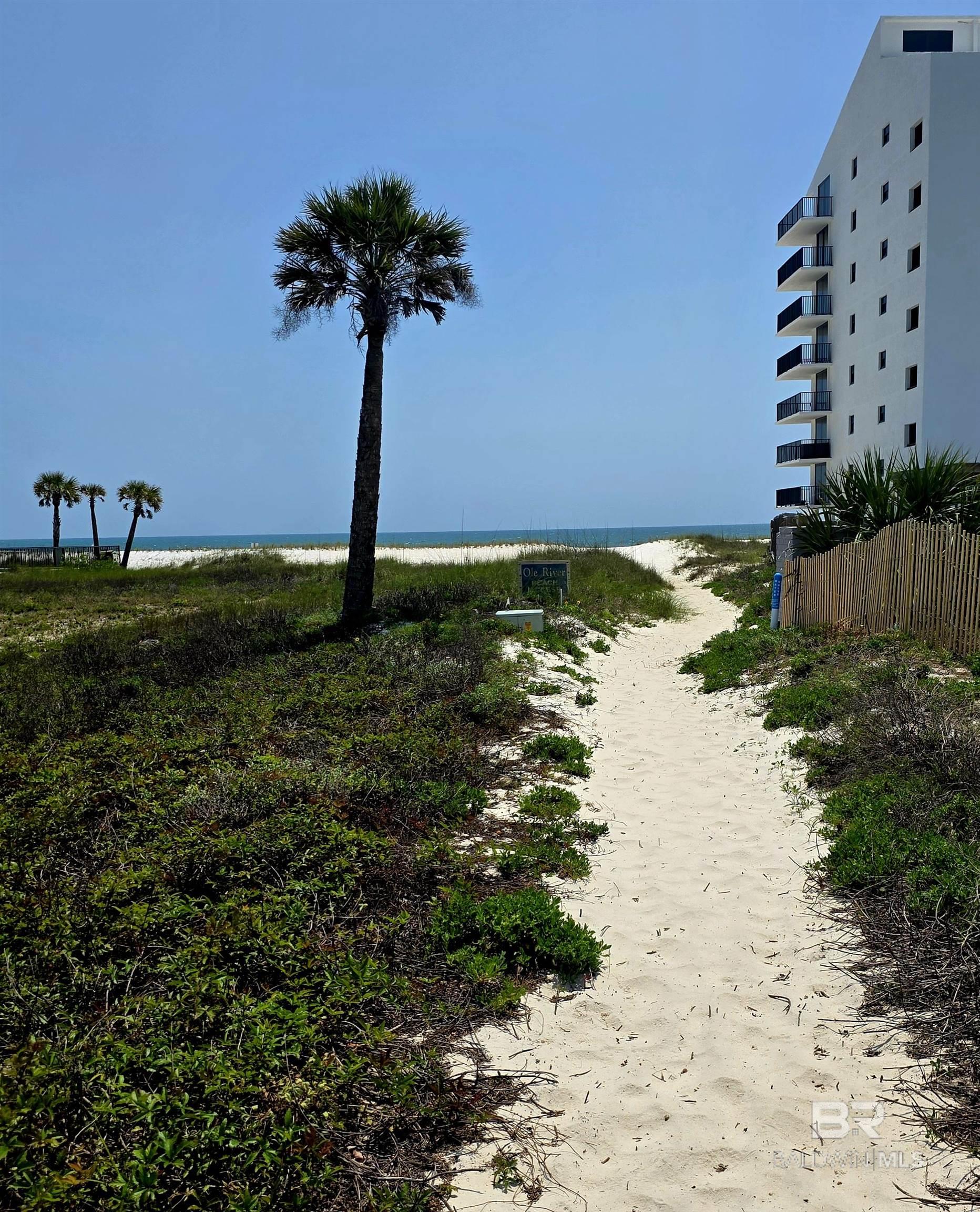 28835 Perdido Beach Boulevard 125