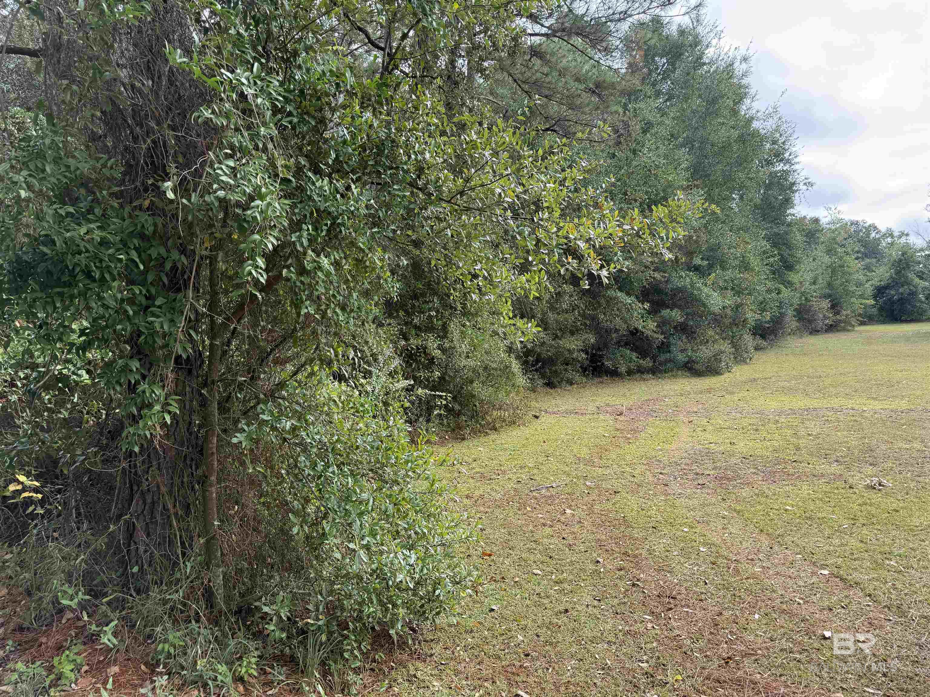 0 Pine Acres Road - Photo 2