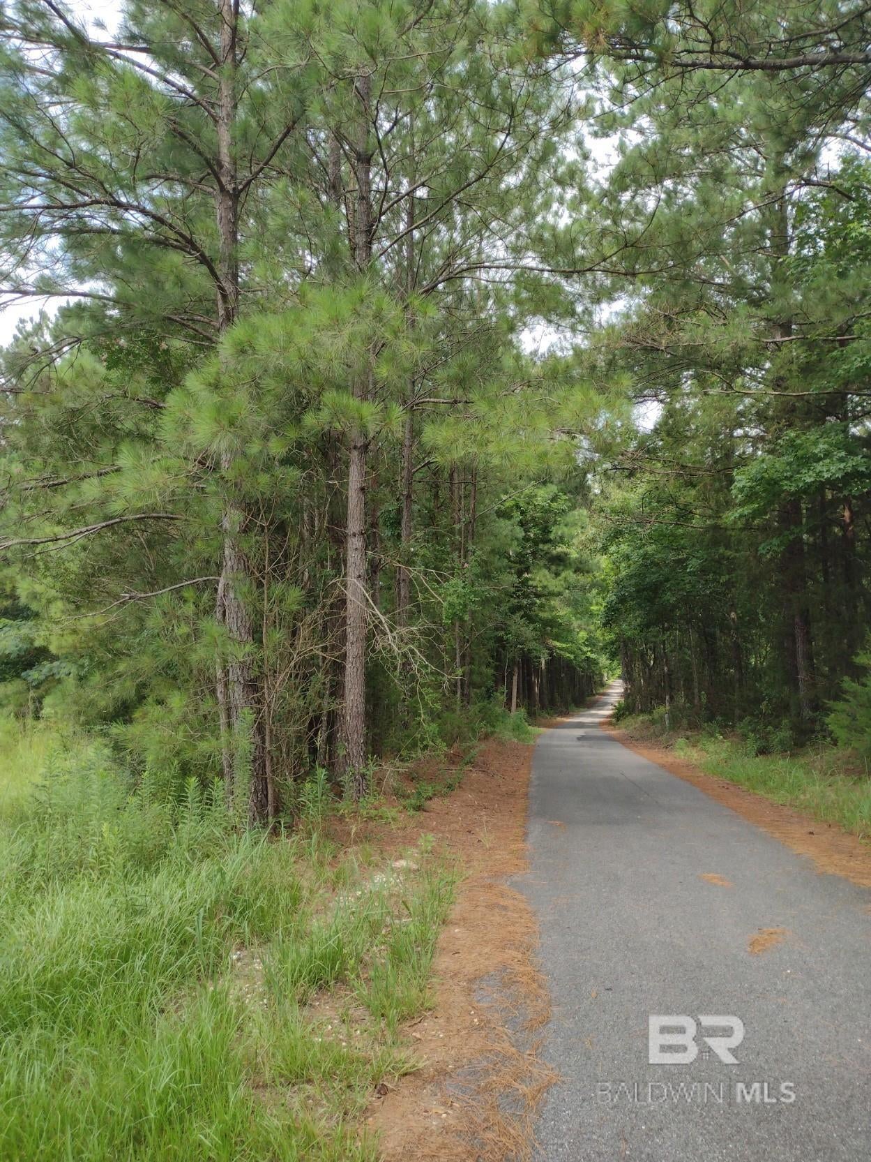 Photo 1 of 5 — 5 Gap Weekley Road, Perdido, AL 36562
