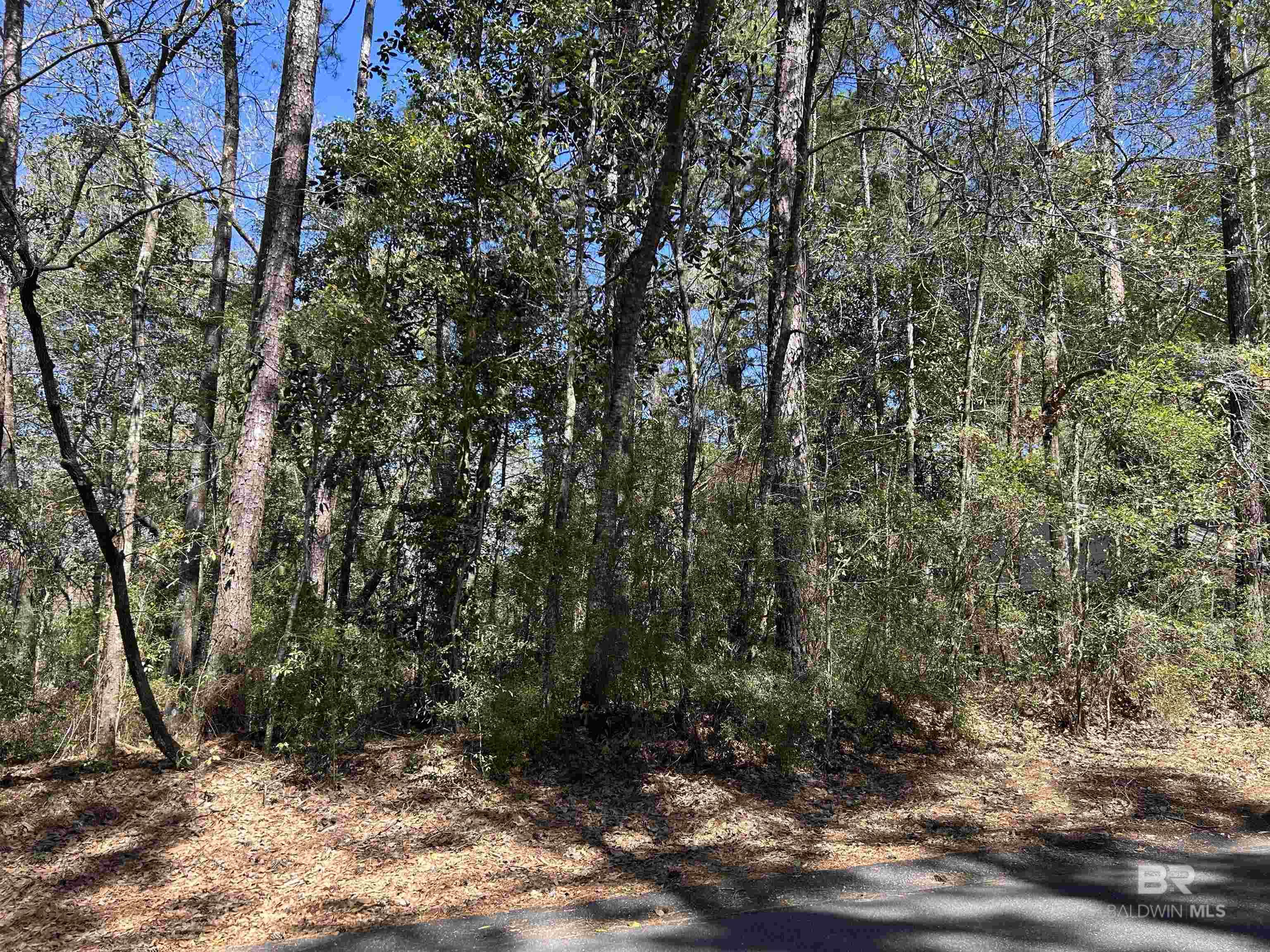 Photo 1 of 3 — 225 Montclair Loop, Daphne, AL 36526