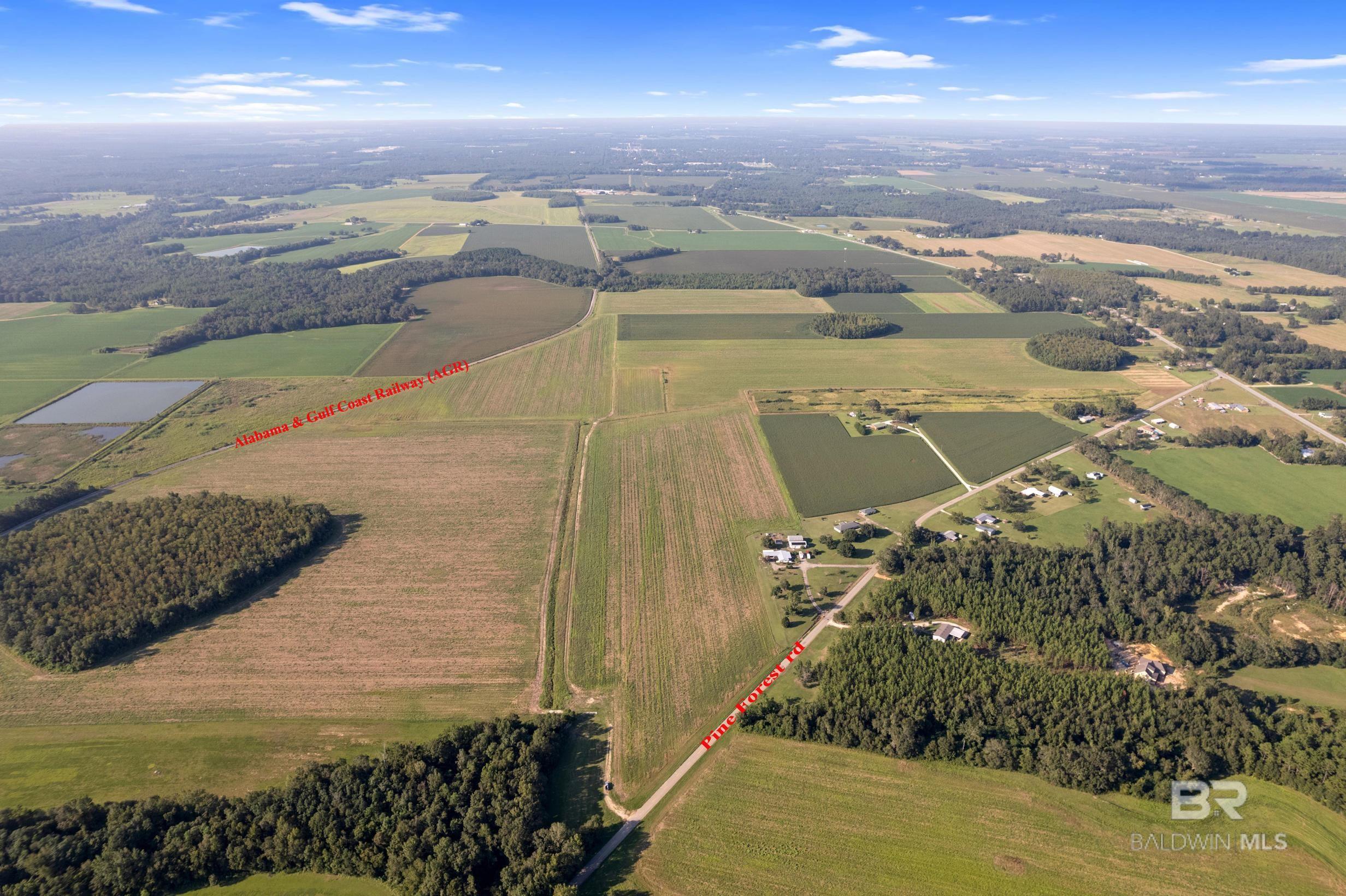 Photo 1 of 44 — 5700 Block Pine Forest Road, Walnut Hill, FL 32568