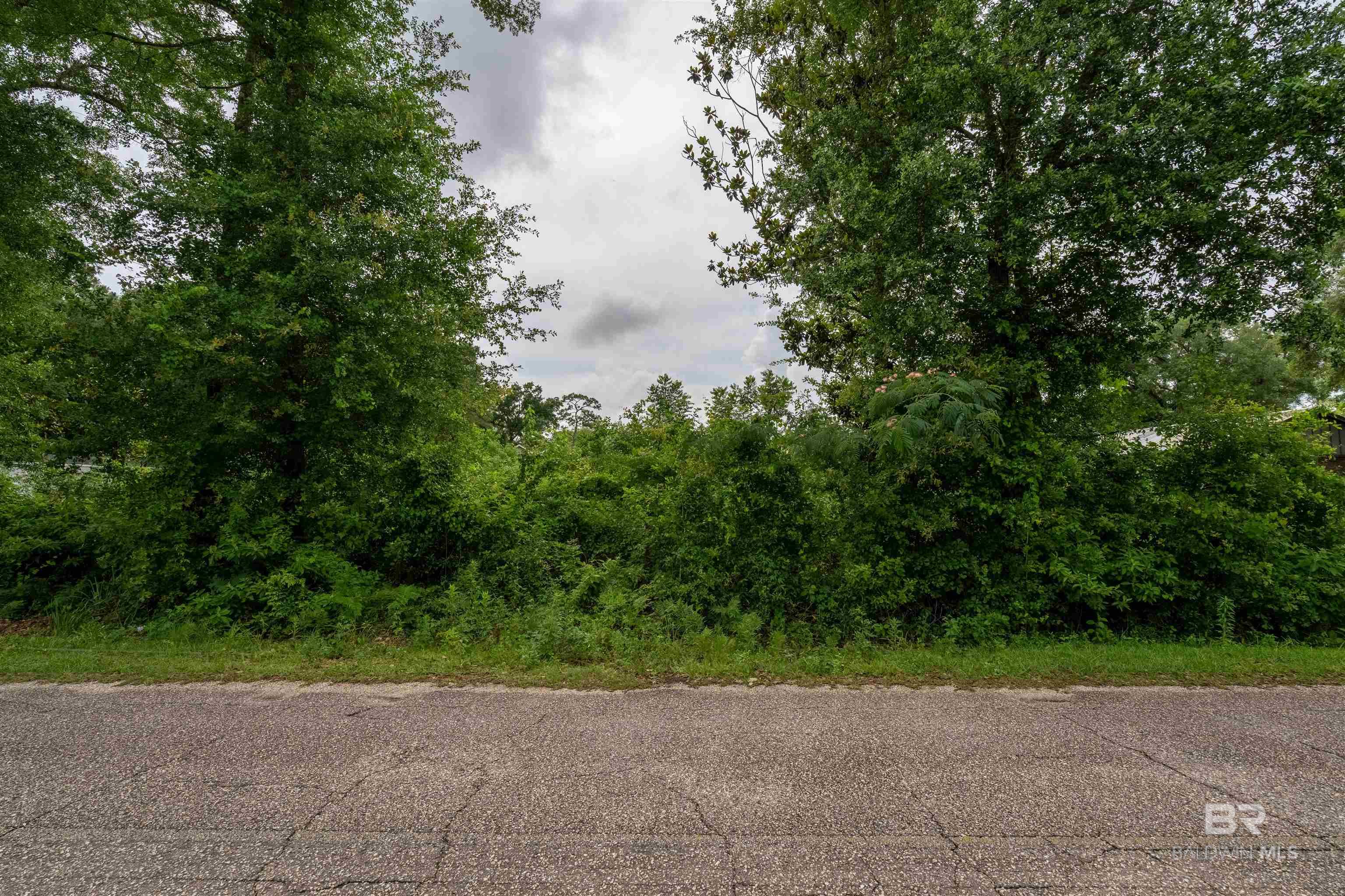 Photo 1 of 31 — 0 Seabright Avenue, Elberta, AL 36530