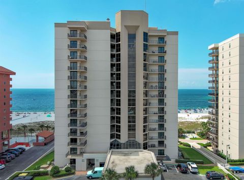 27120 Perdido Beach Boulevard 2043 Orange Beach AL 36561