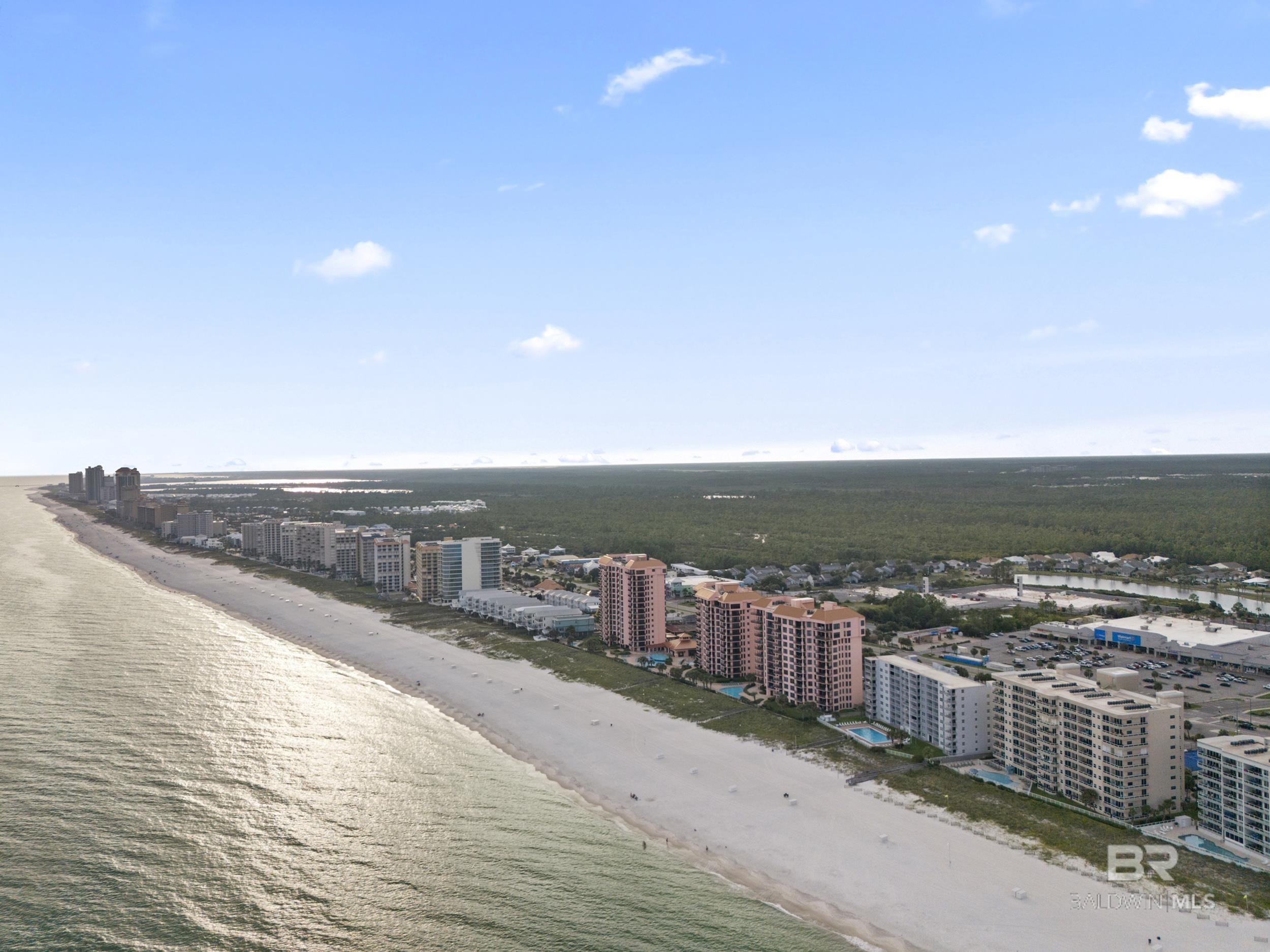 25342 Perdido Beach Boulevard 905