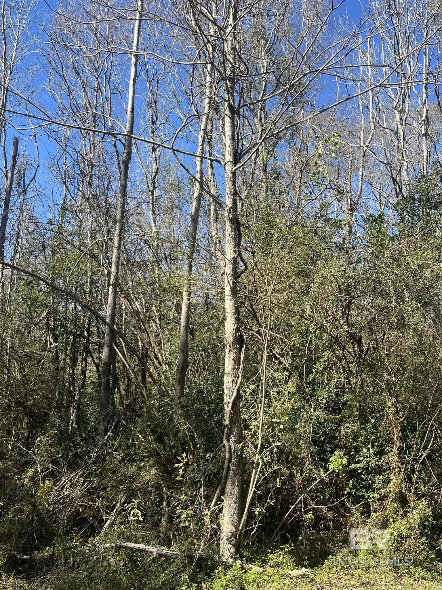 Photo 1 of 2 — Abernathy Avenue, Bay Minette, AL 36507