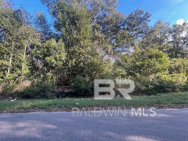 Photo 1 of 26 — 0 New Era Road, Fairhope, AL 36532
