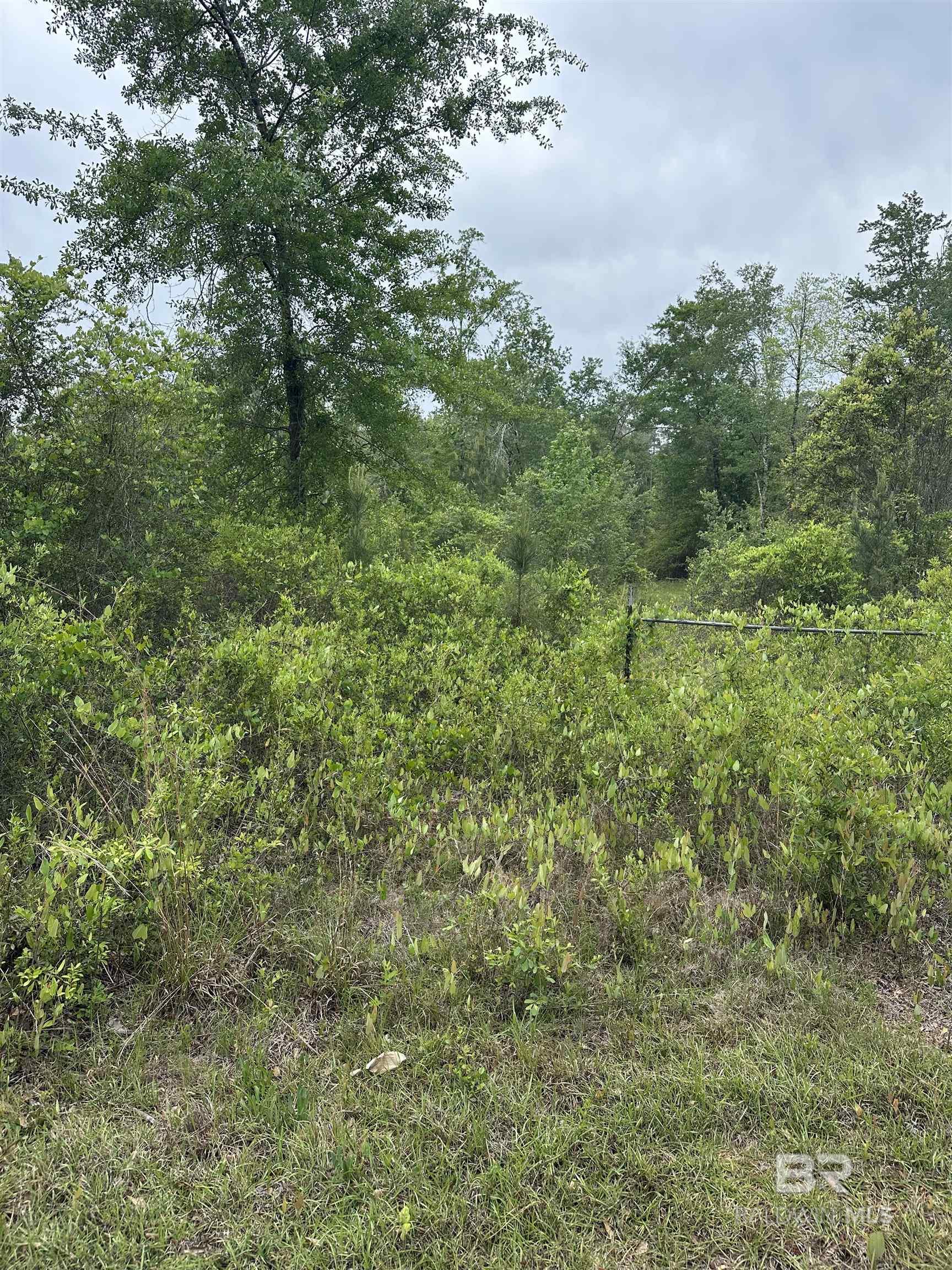 Photo 1 of 1 — 0000 Propst Road, Bay Minette, AL 36507