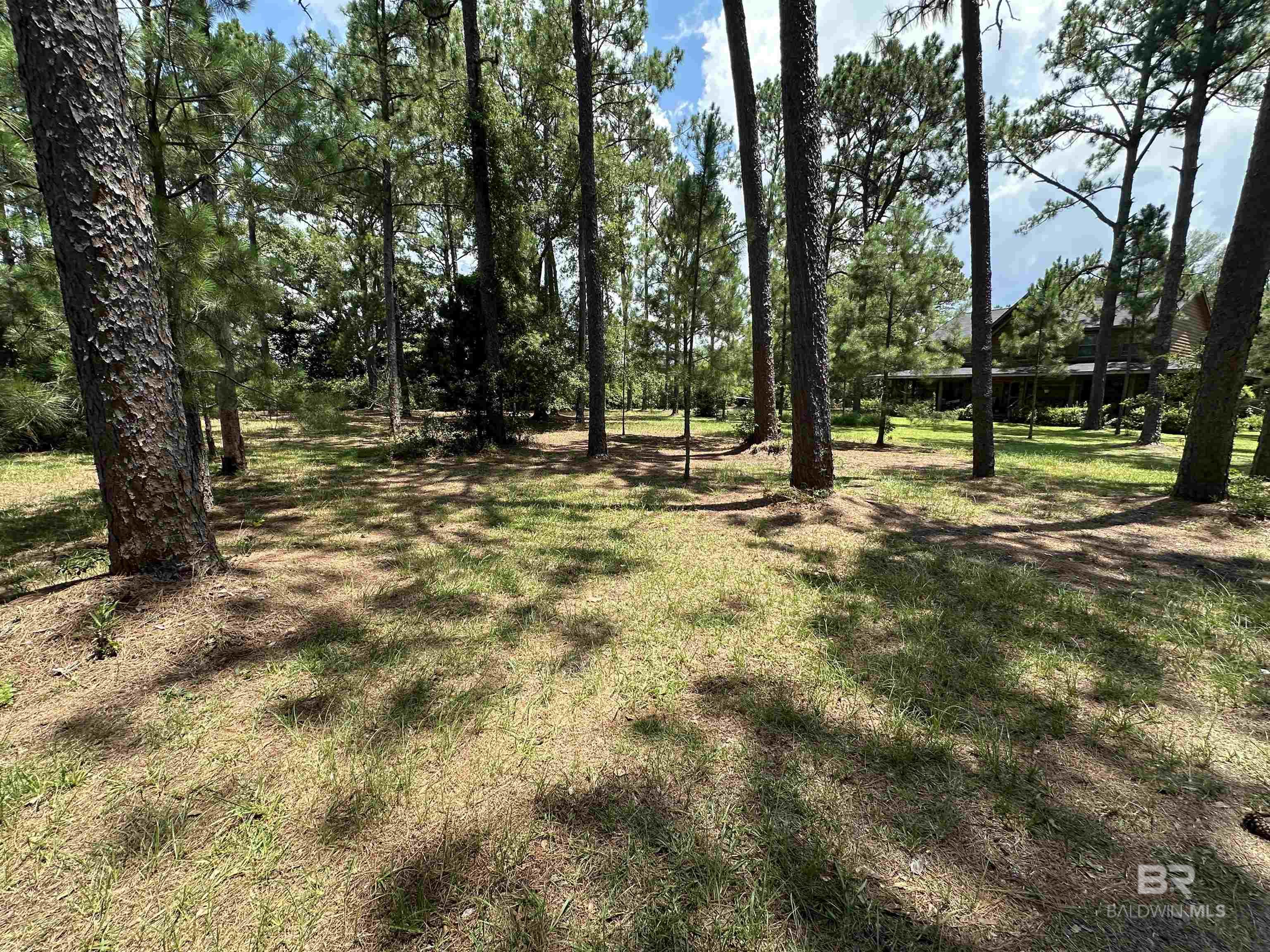 8100 S Highway 59 - Photo 3