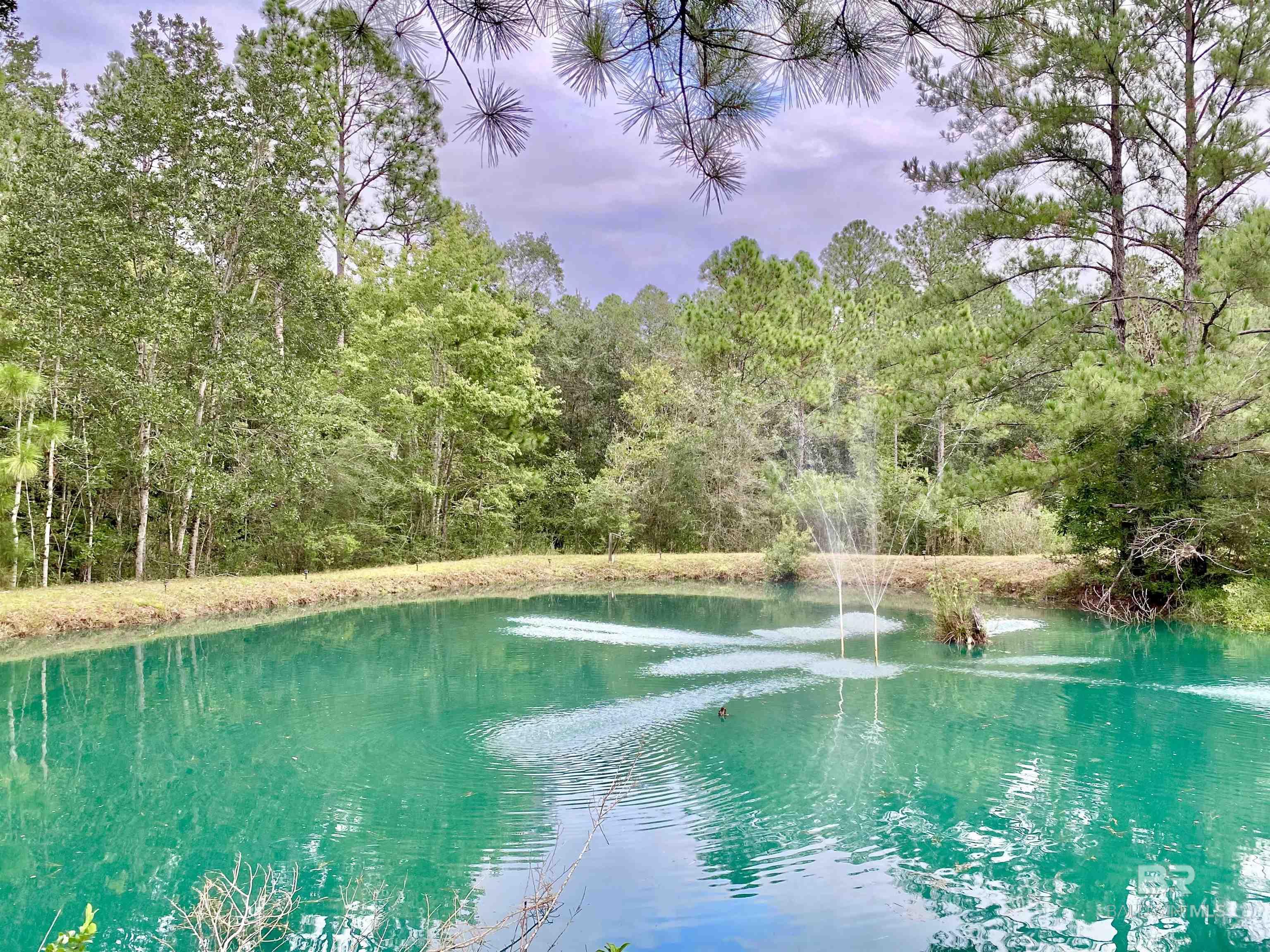 21305 River Road - Photo 2