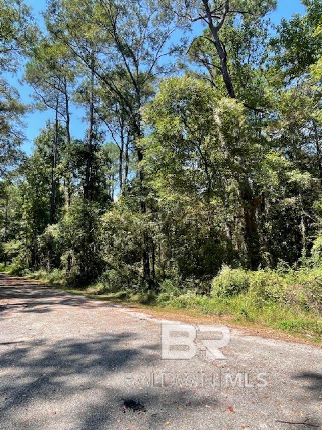Photo 1 of 3 — 0 Caster Street, Mobile, AL 36605