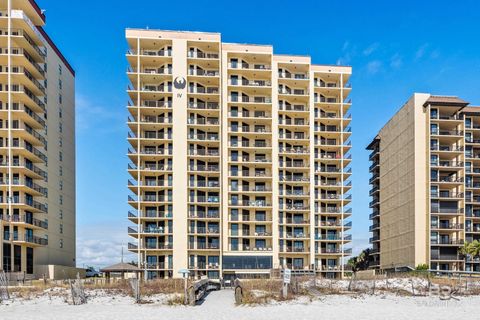 24250 Perdido Beach Boulevard 4024 Orange Beach AL 36561