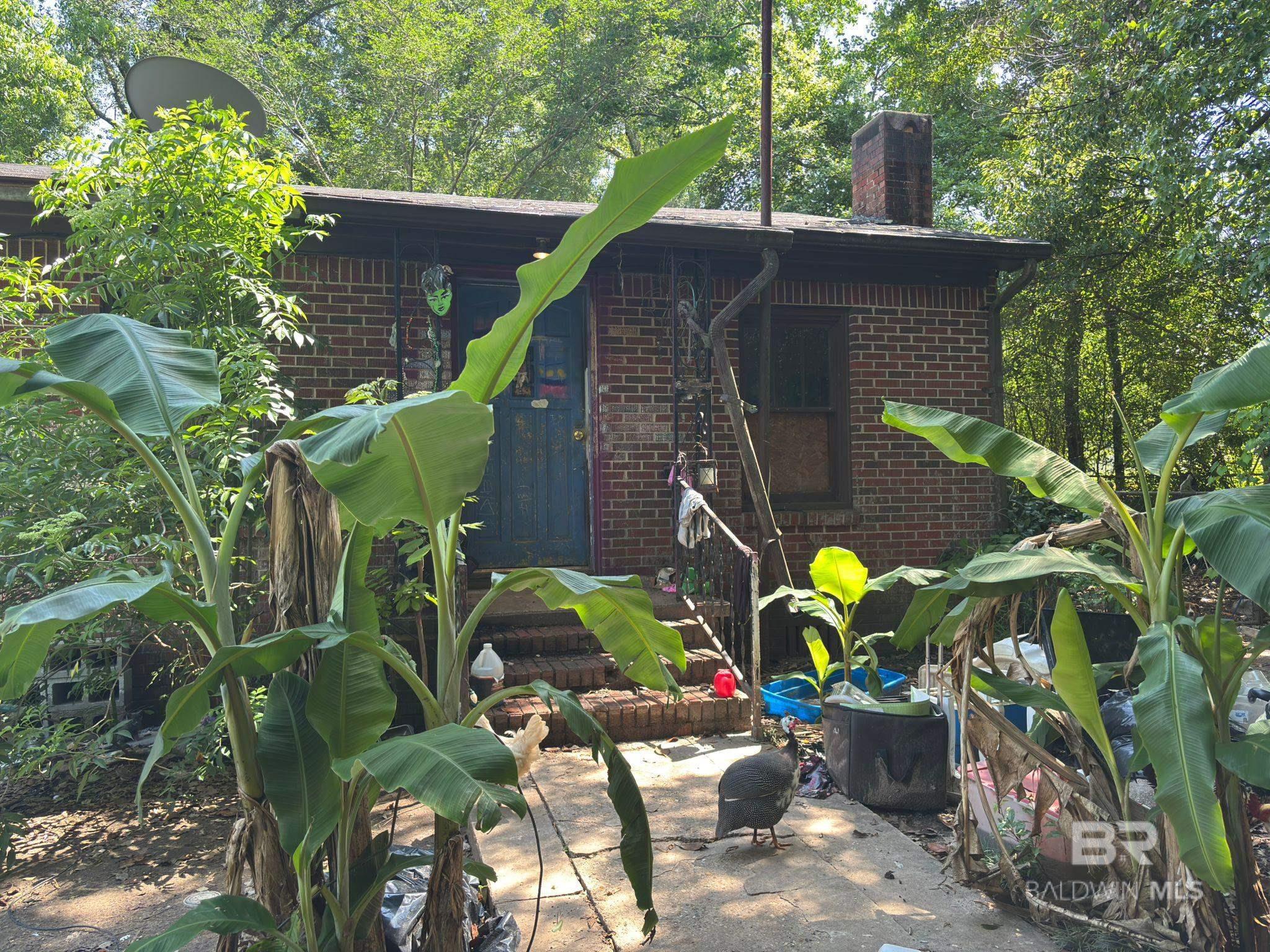 Listing image 4