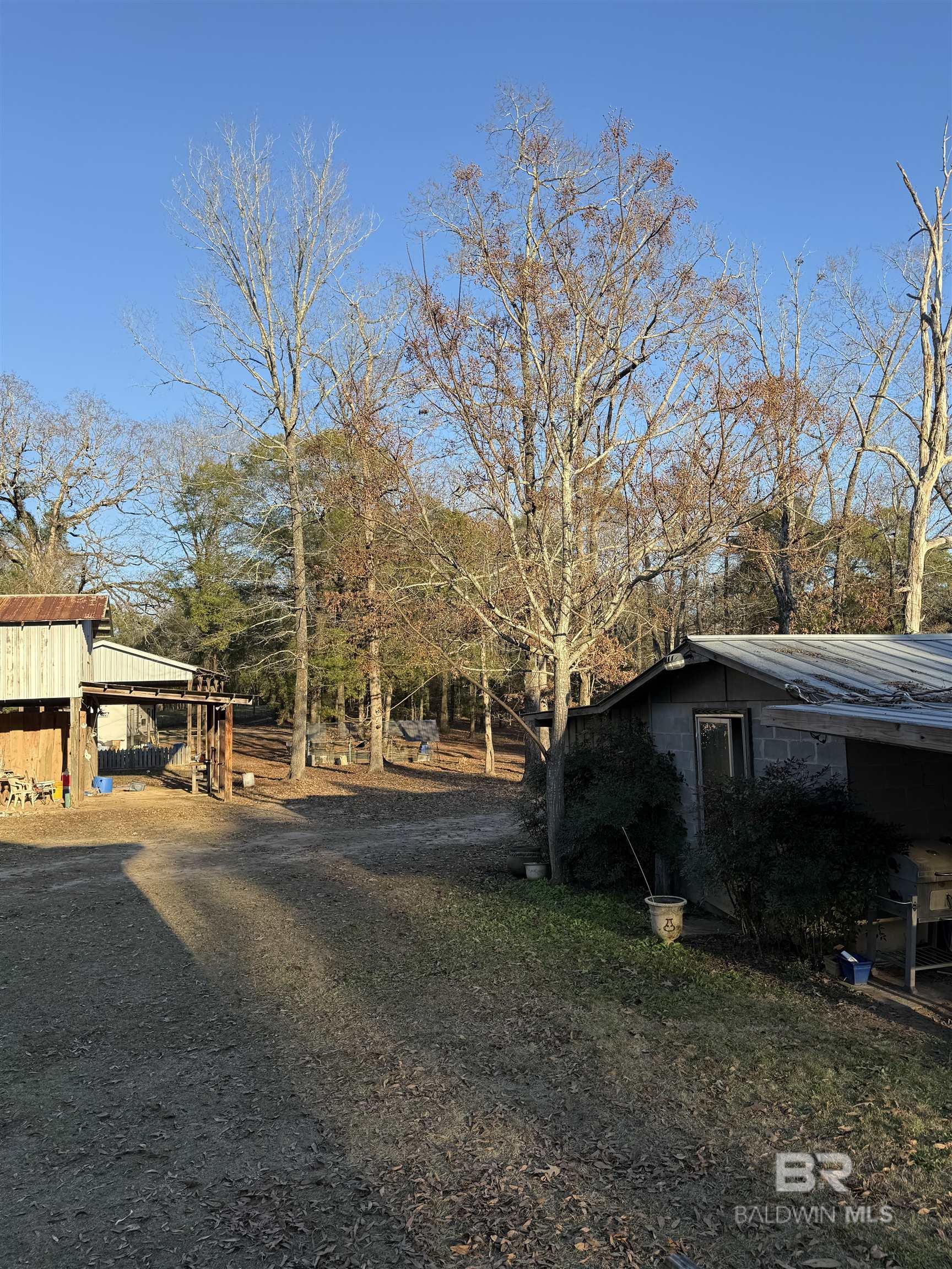 Yard
