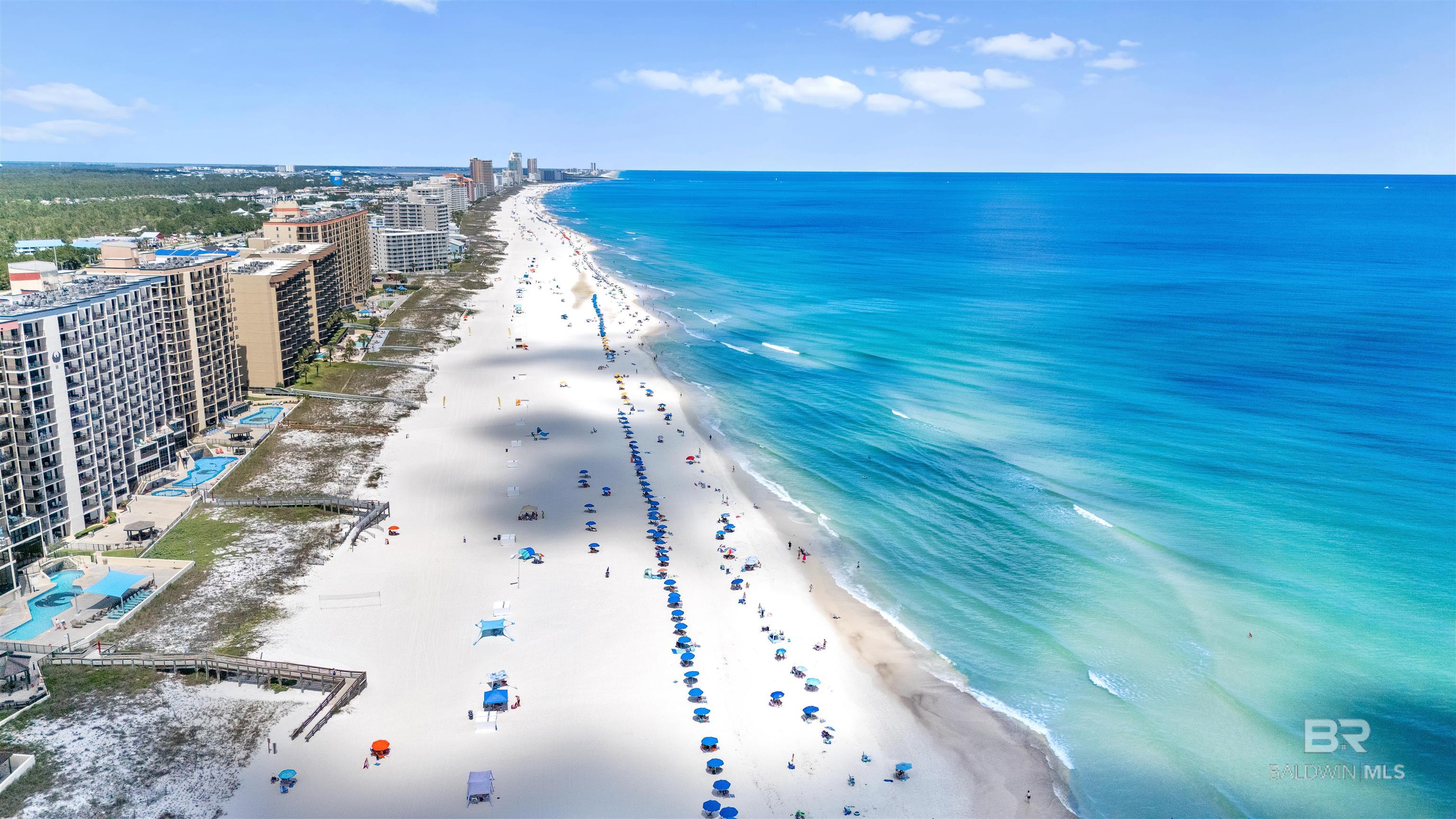 24132 Perdido Beach Boulevard 1123